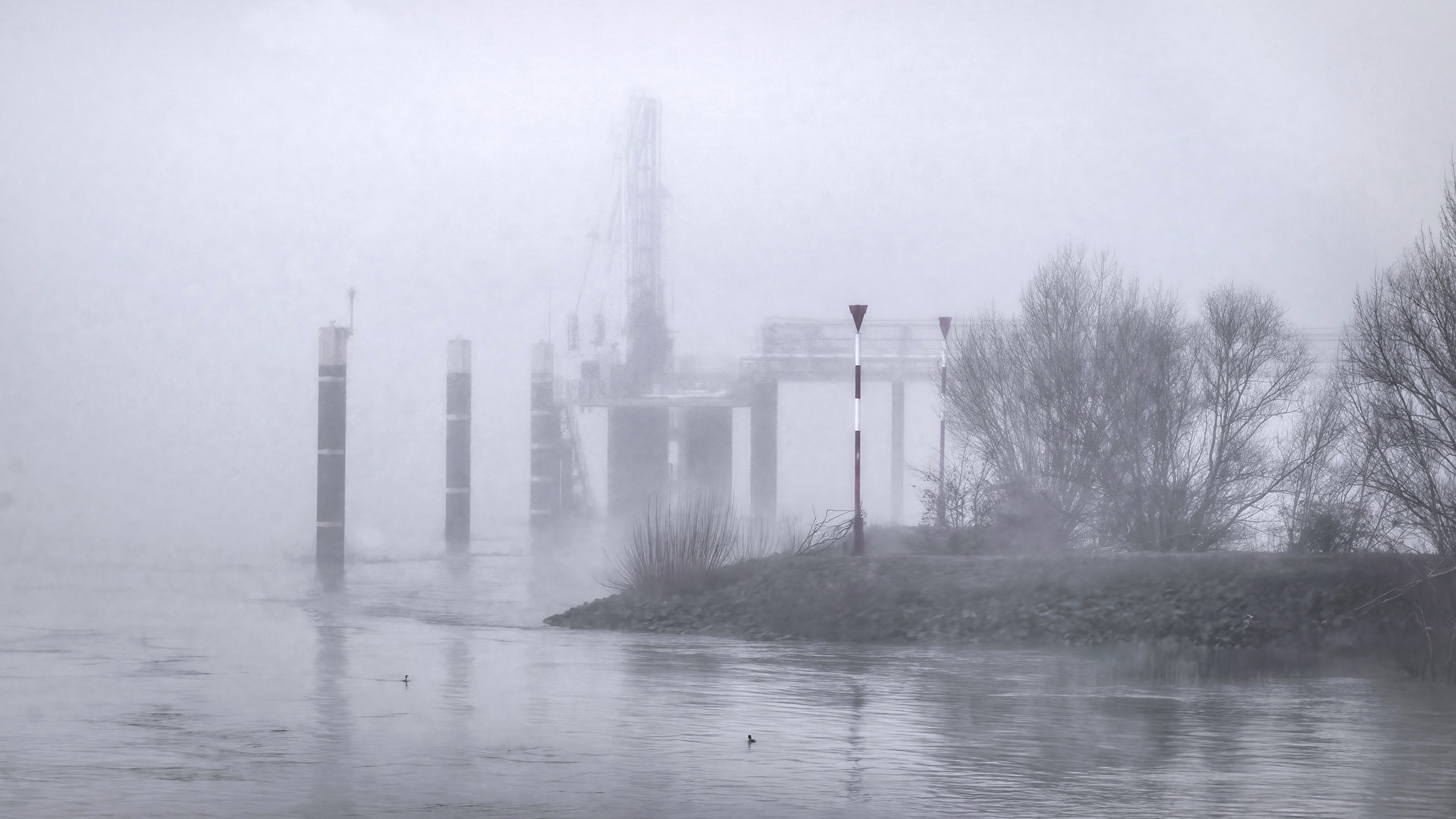 Rhein im Nebel II