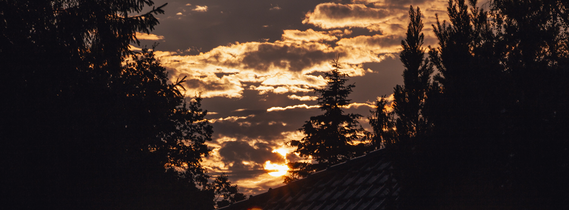 Der Sonne entgegen