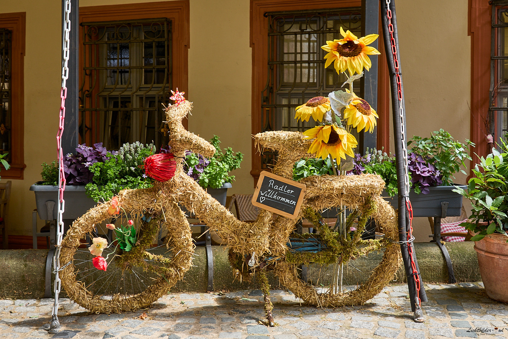 #Fahrrad "Ökonomische Version"...