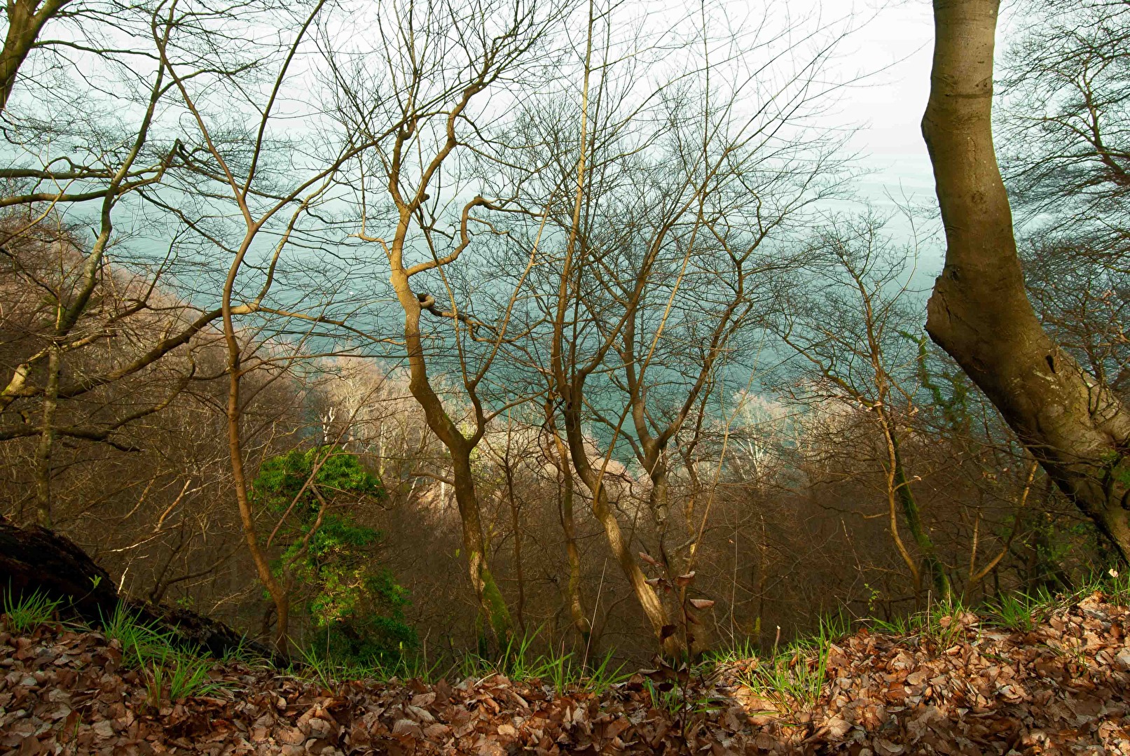 Strandbereich an den Kreidefelsen von oben betrachtet.