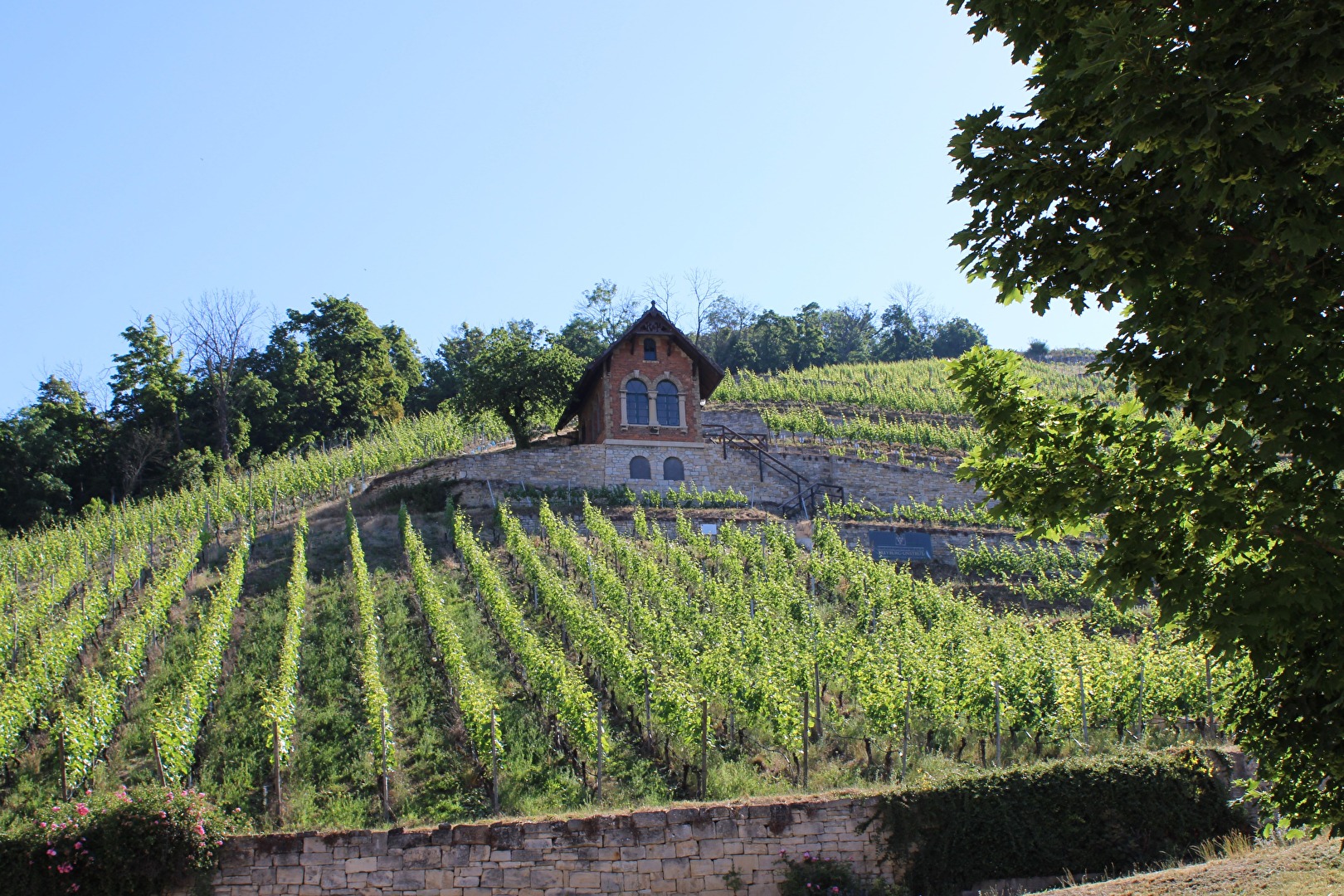 Entlag der Weinberge