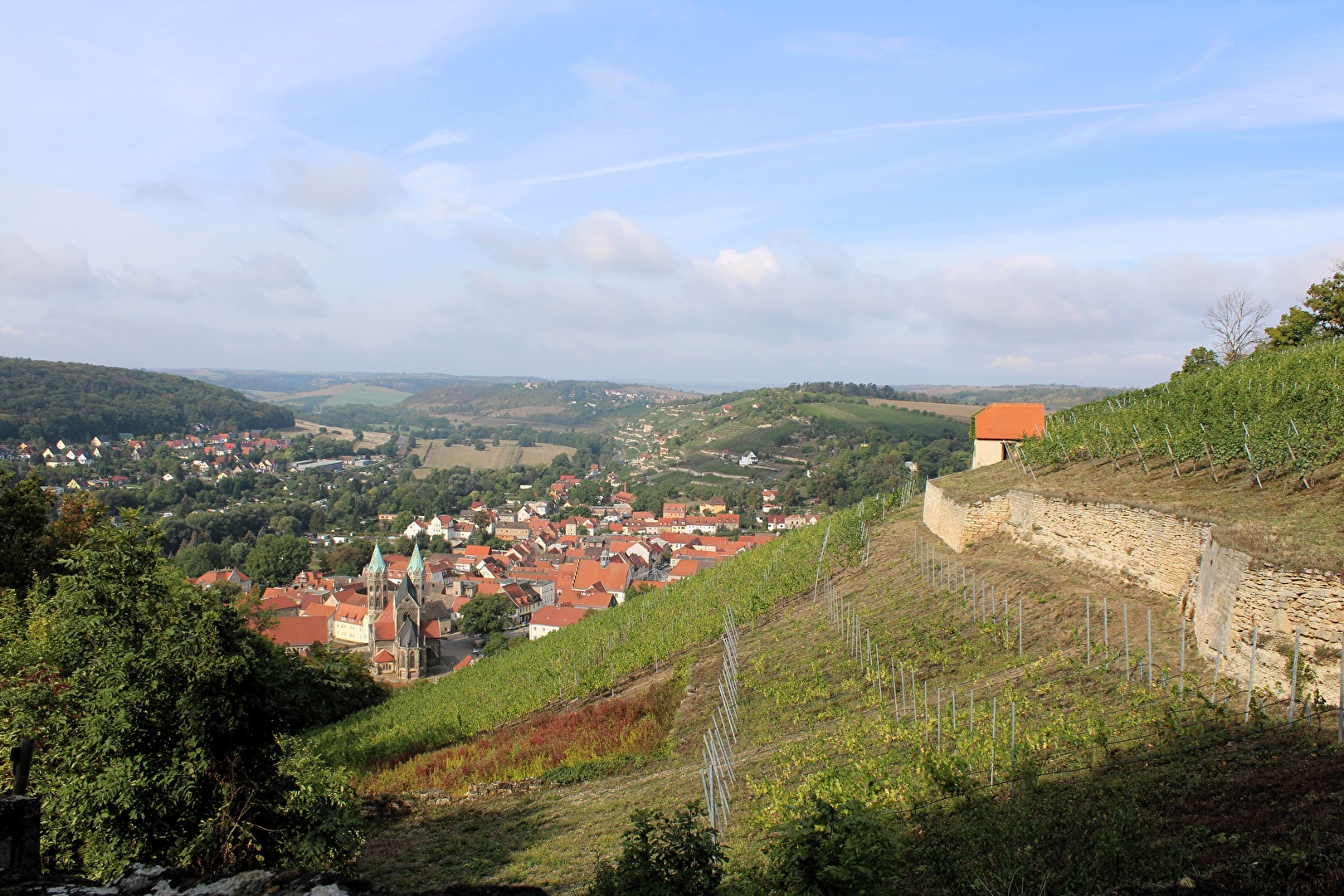 Der Herzogliche Weinberg