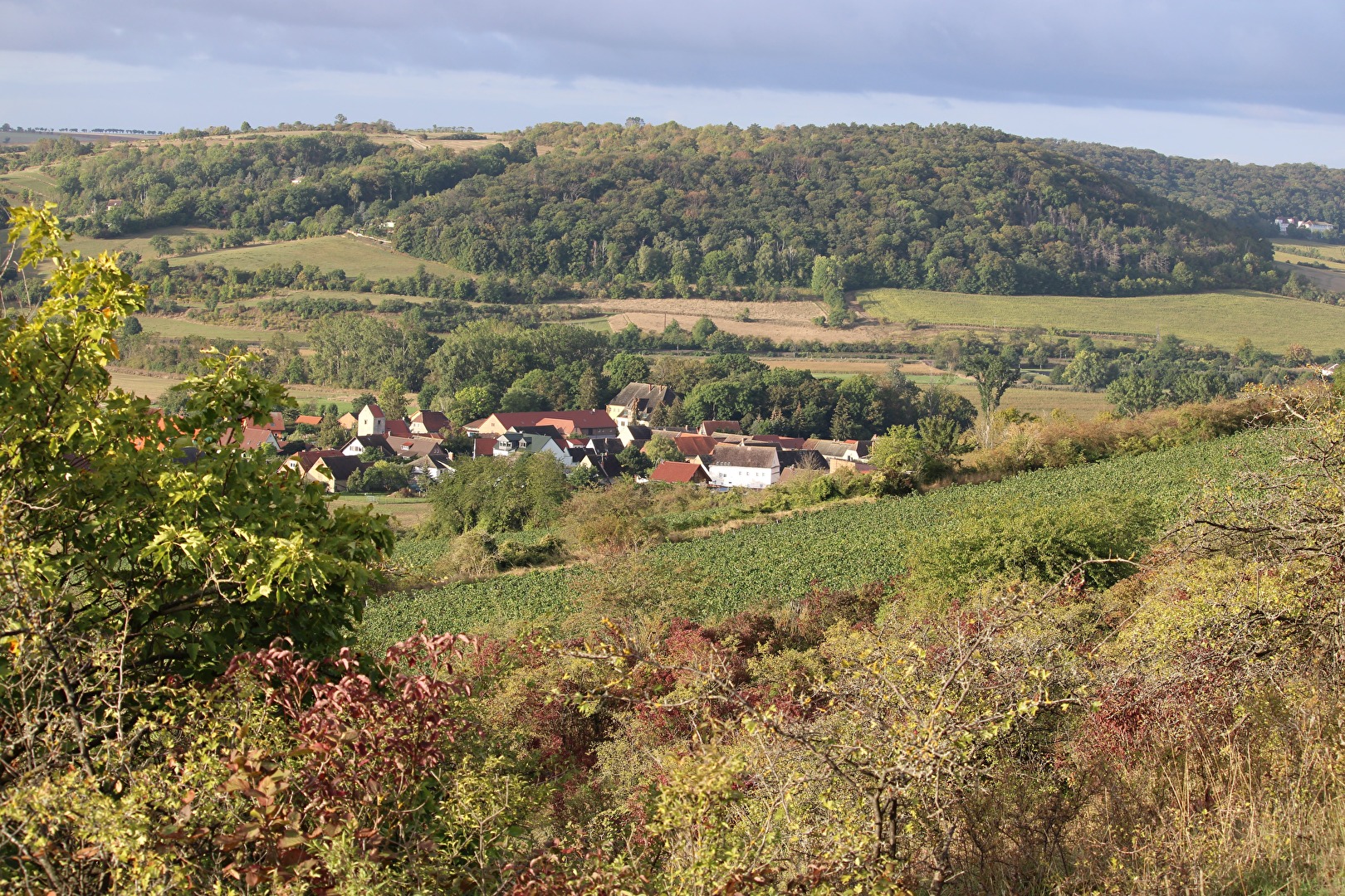 Weischütz im Tal, zwischen dem Weinanbau beim Nüssenberg und dem Wurmberg