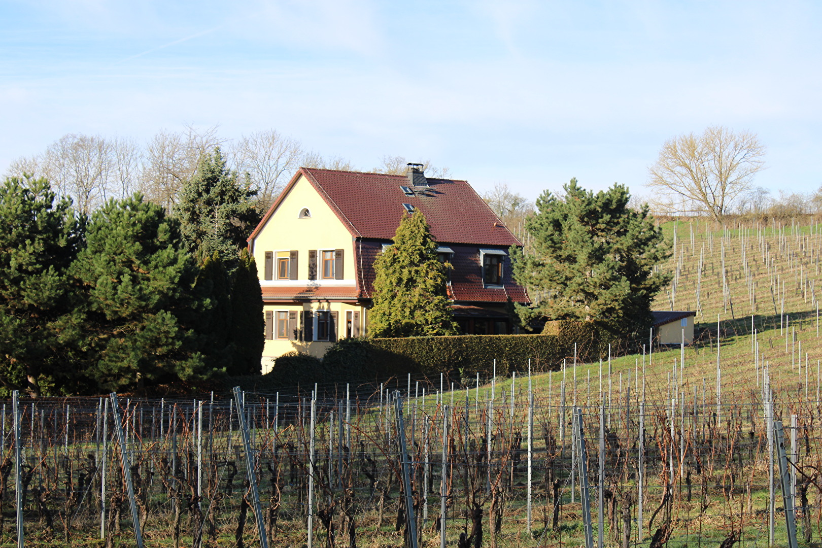 Ein Haus in den Weinbergen