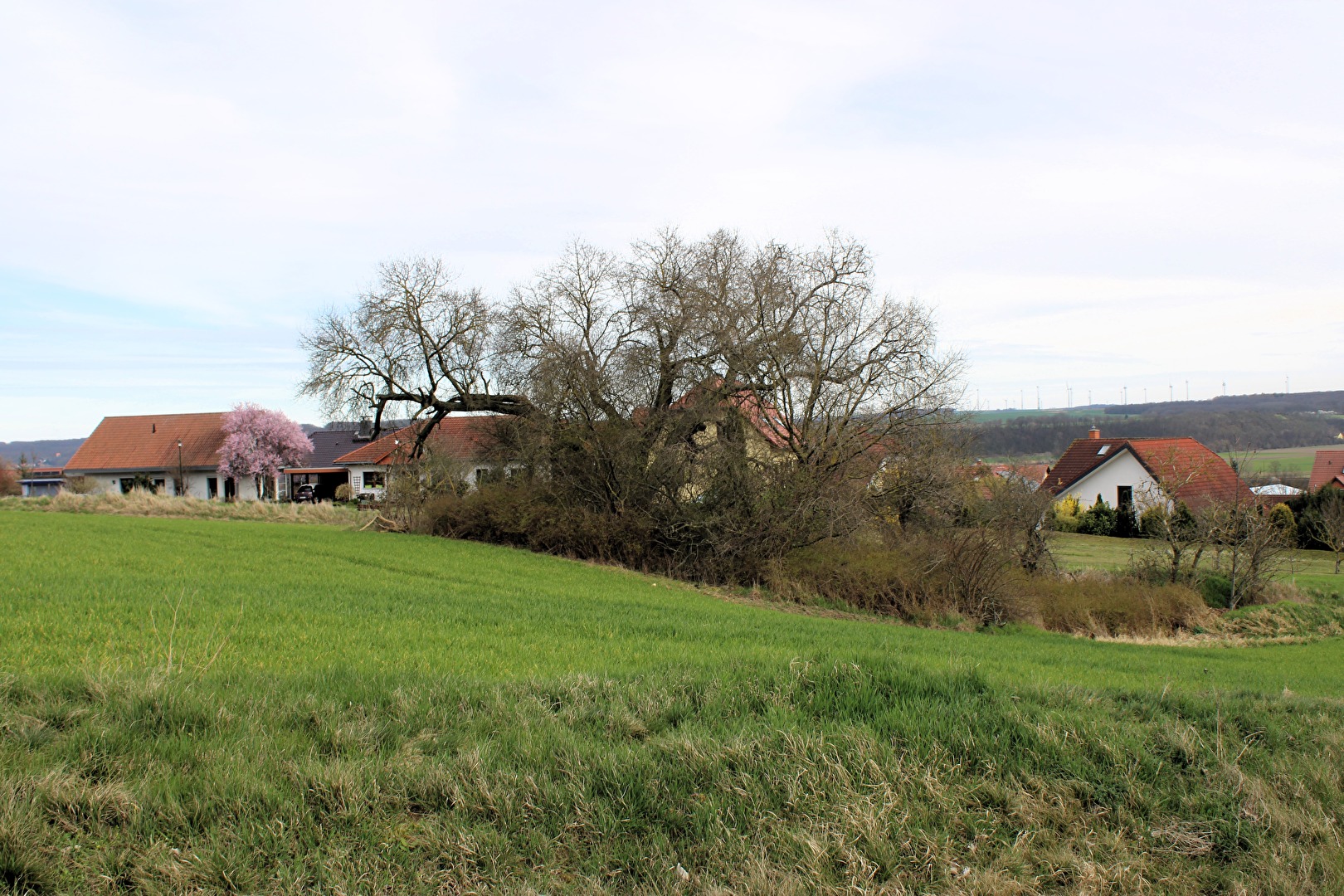 Mitten auf dem Feld