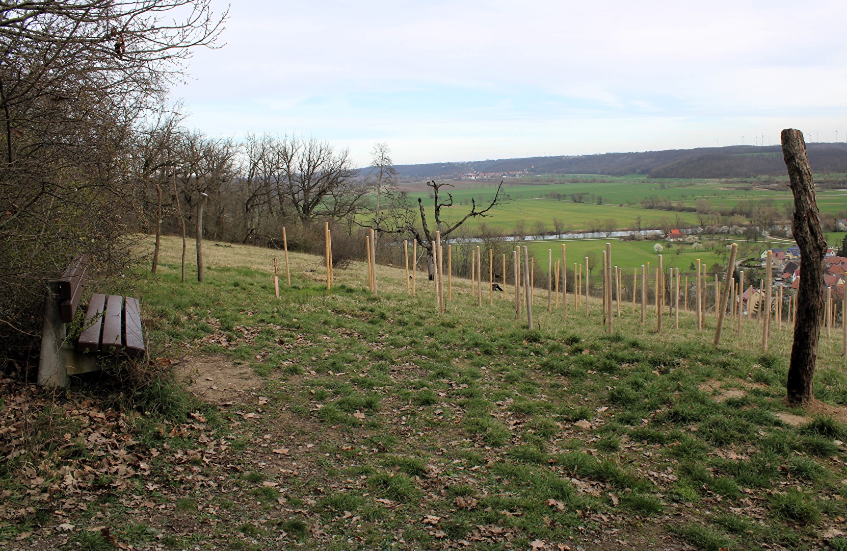 Die Bank auf dem Weinberg