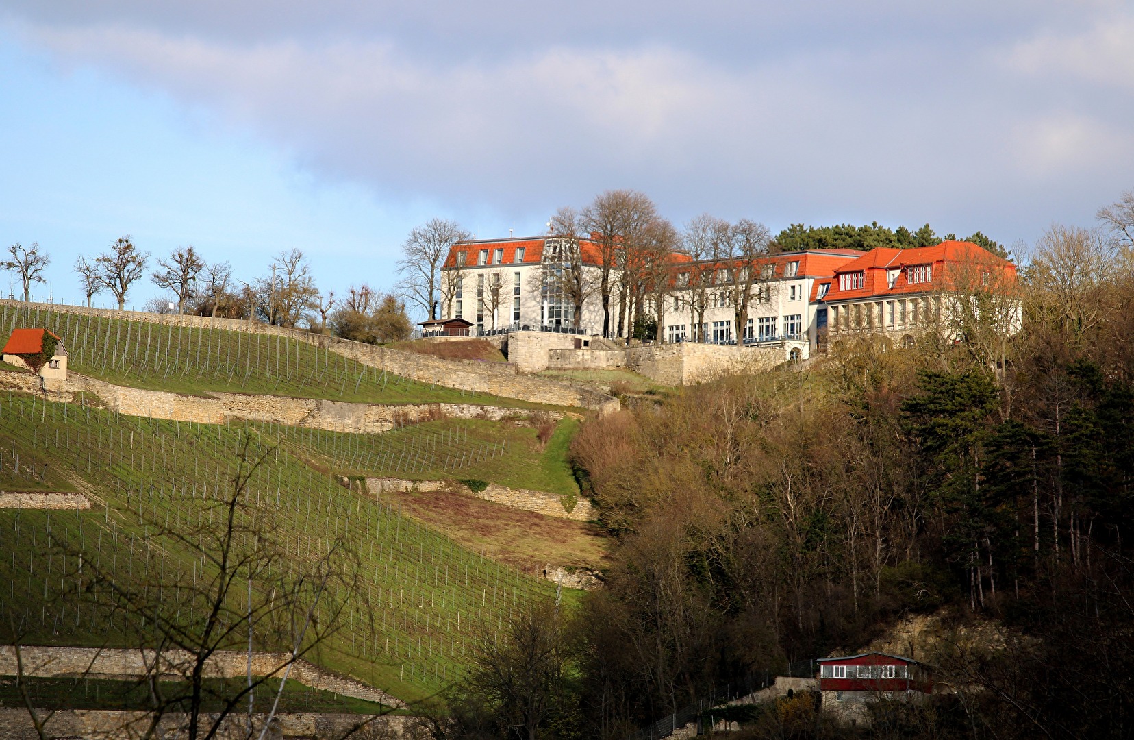 Freyburg (Unstrut)