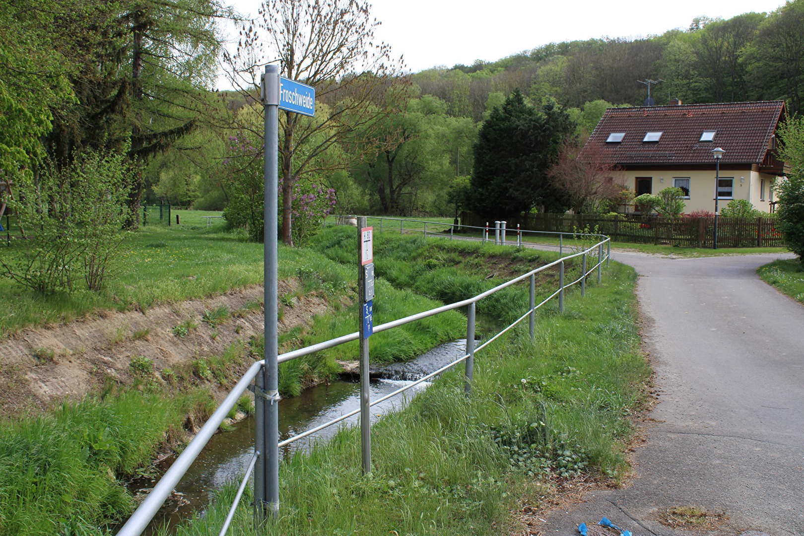 Froschweide am Steinbach