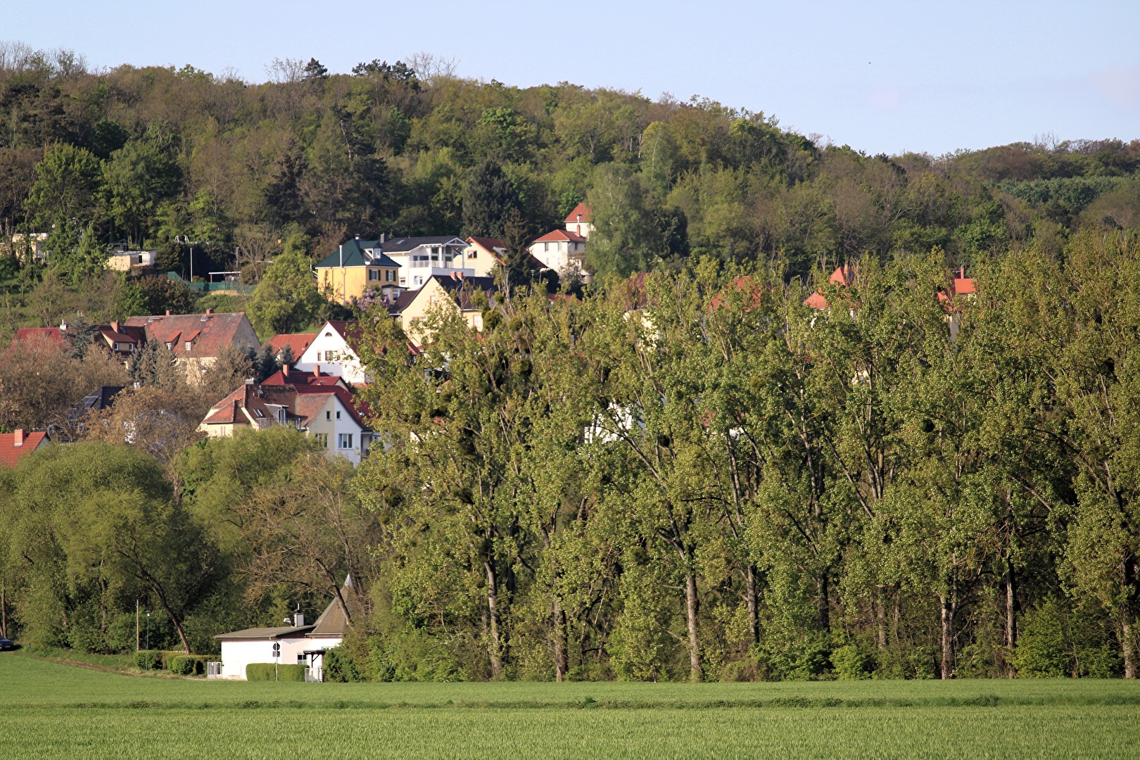 Naumburg, Westviertel
