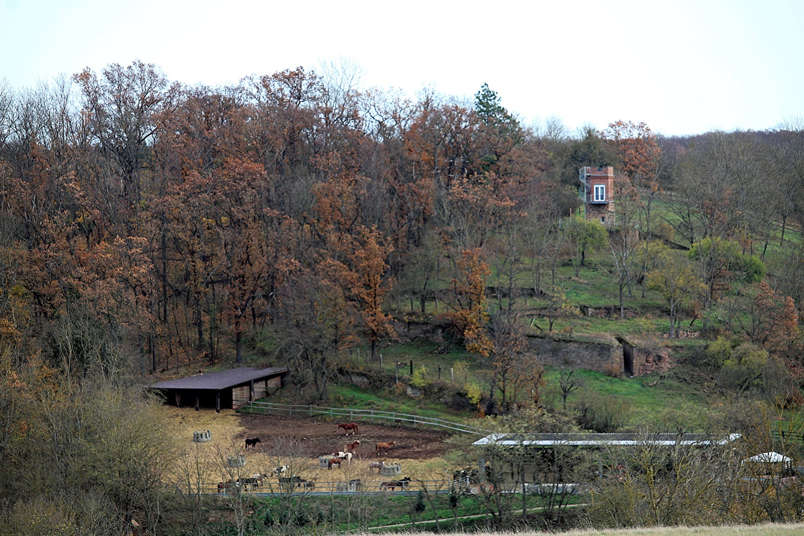 Kroppental