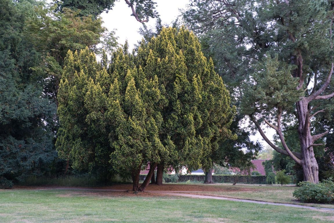 Harbke, im Harbker Park