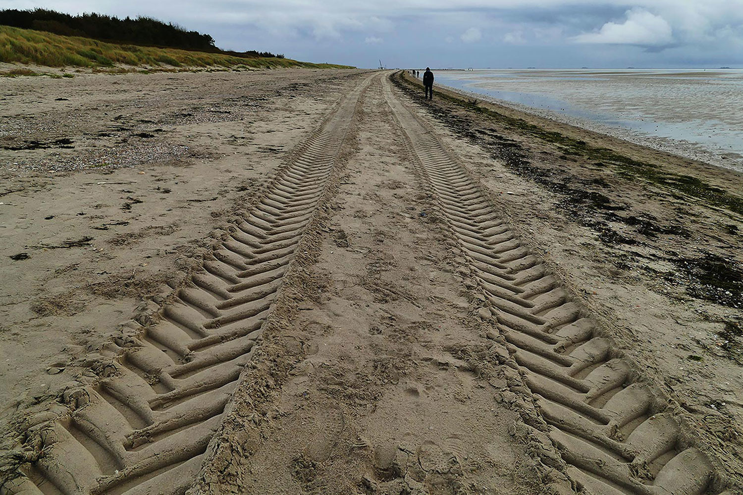 Spuren im Sand