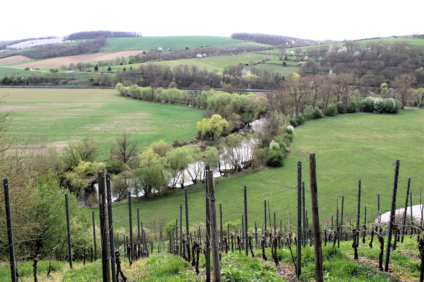 Landschaft bei Kaatschen