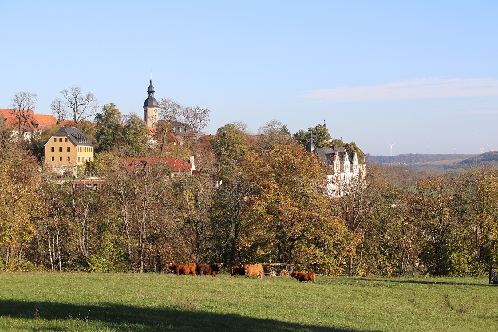 Kirche und Renecance Schloss im Ort Camburg