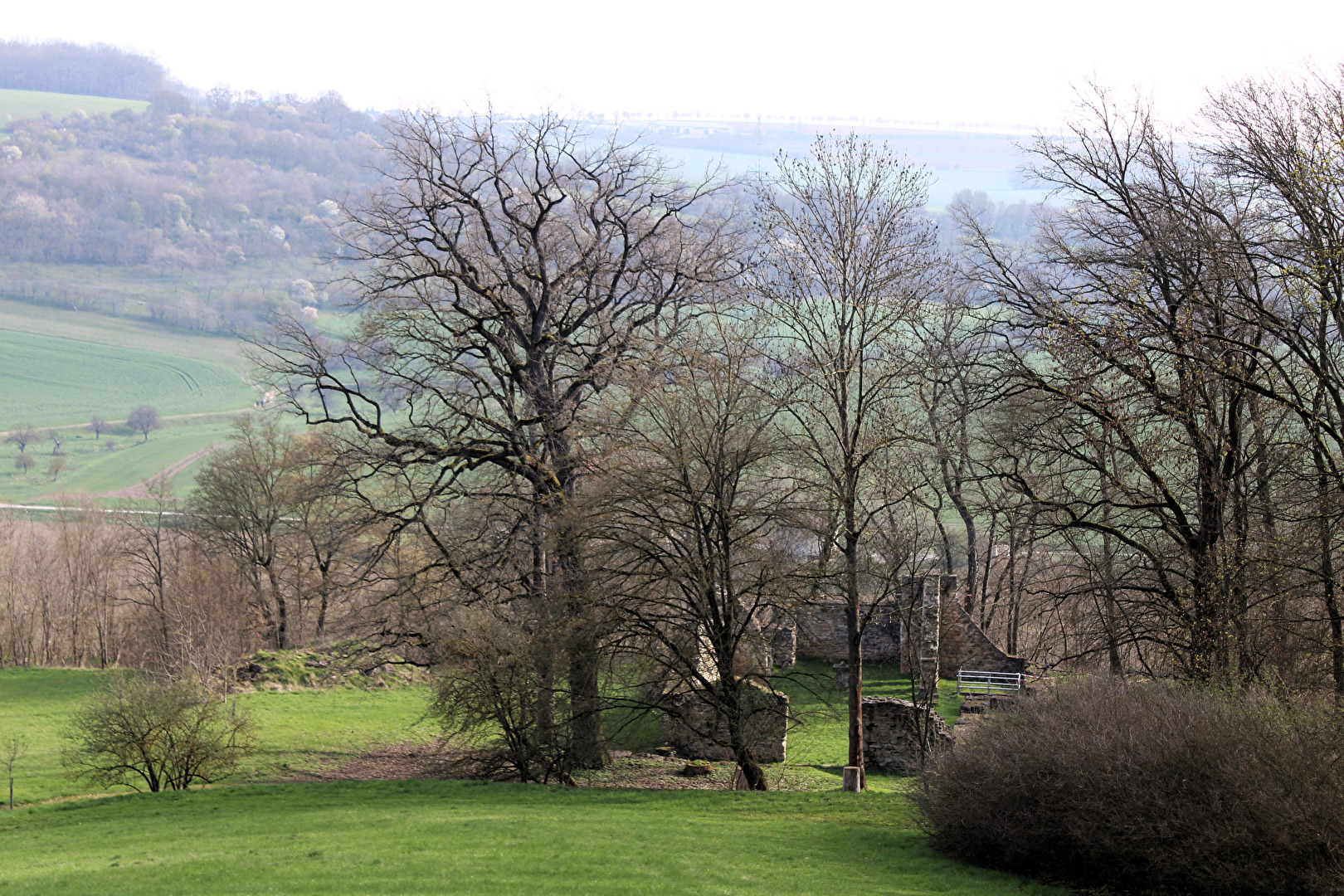 Cyriaks Ruine