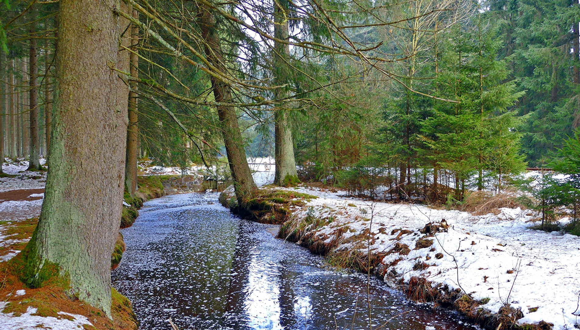 Der Winter hat alles zur Ruhe gebracht