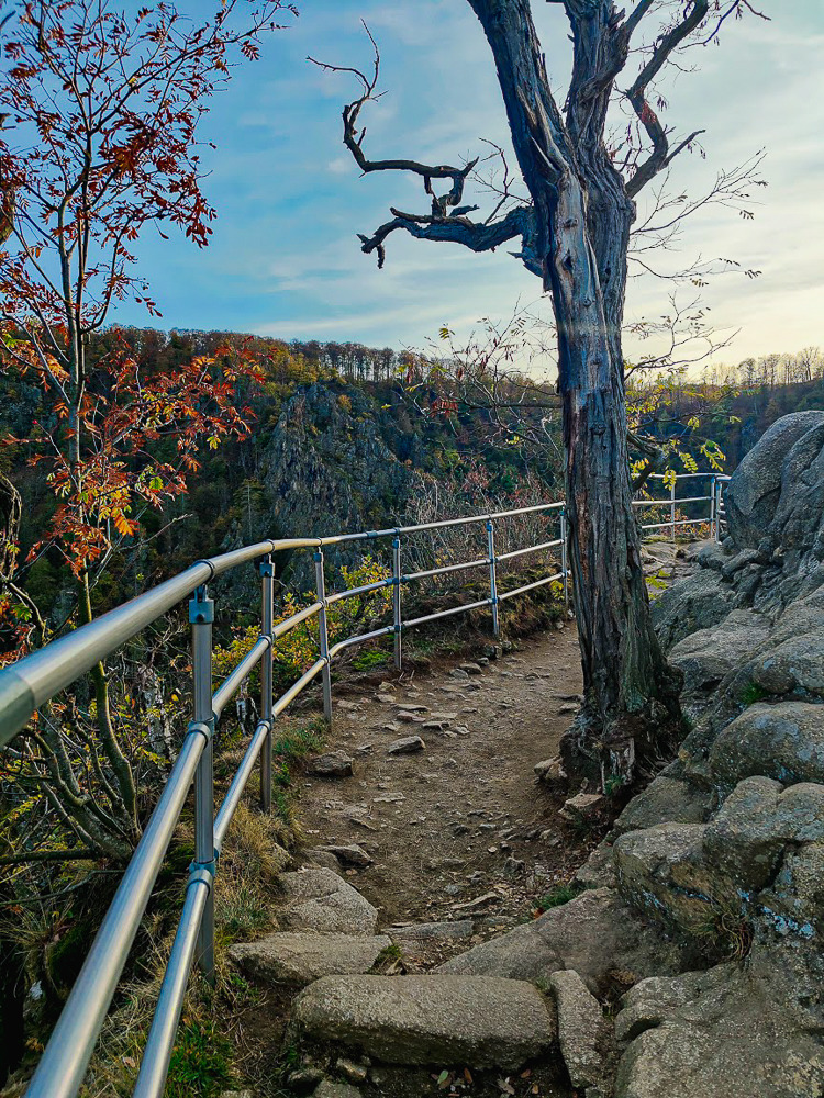 Weg zur Roßtrappe