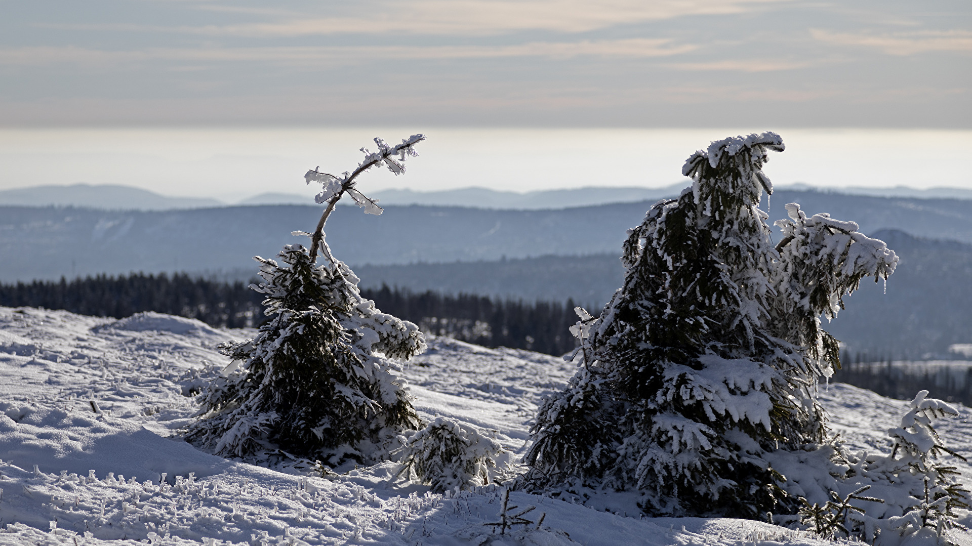 Der Brocken im Harz