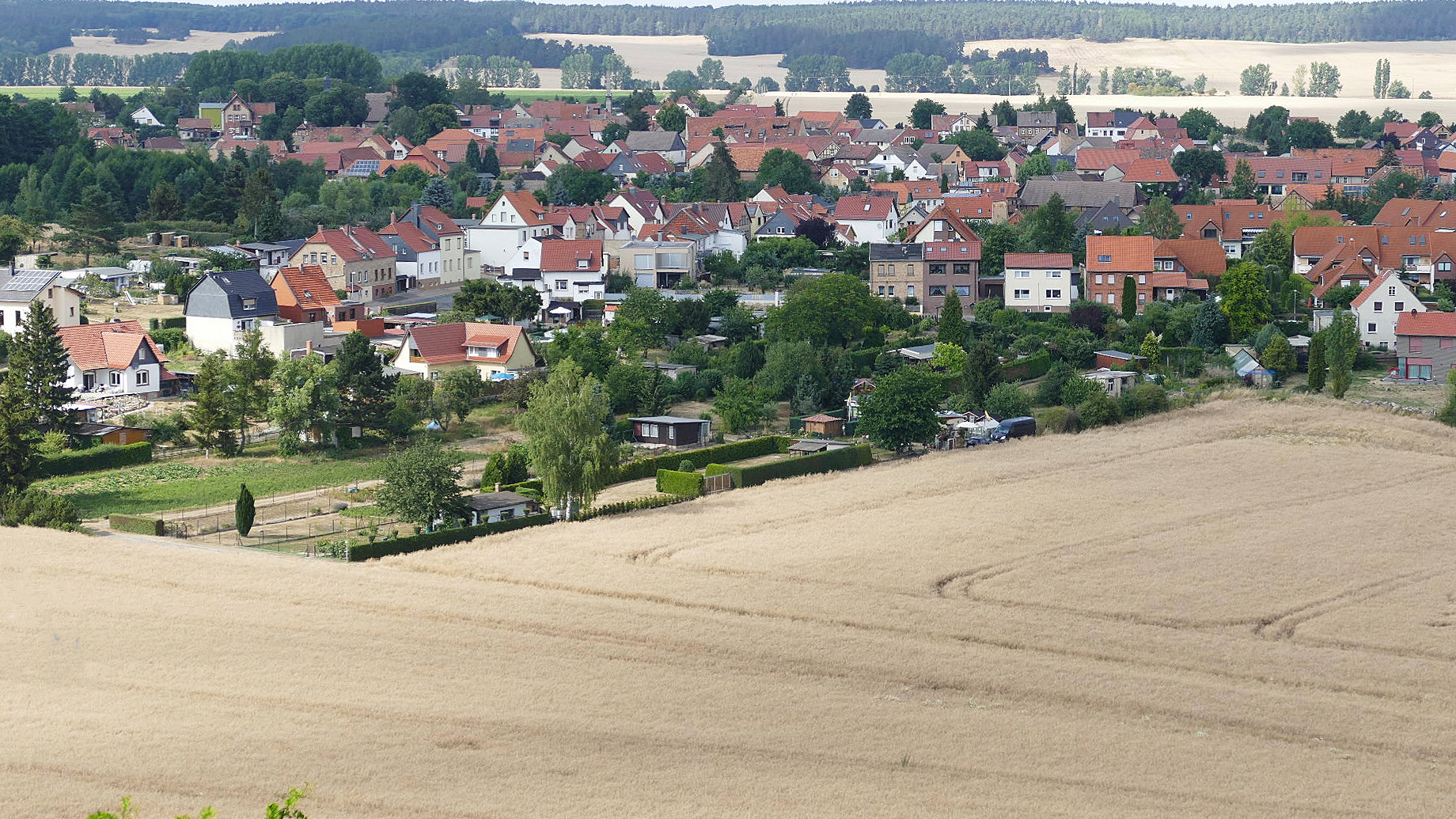 Blick nach Weddersleben