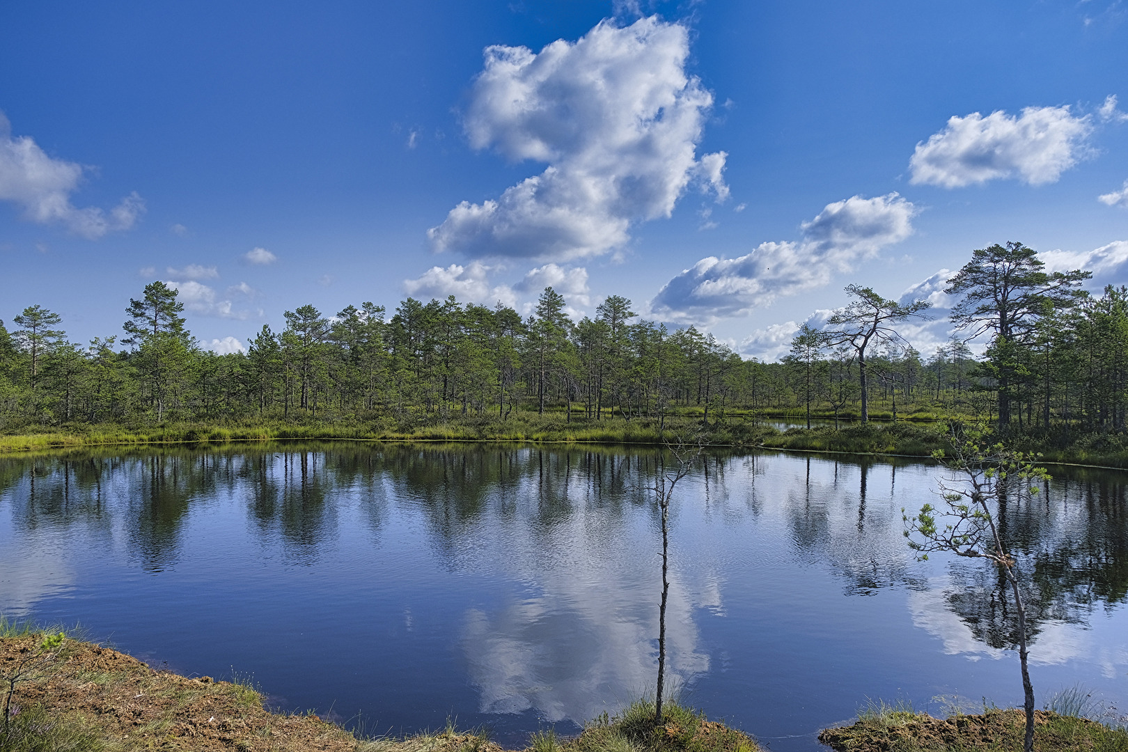 Estland 1