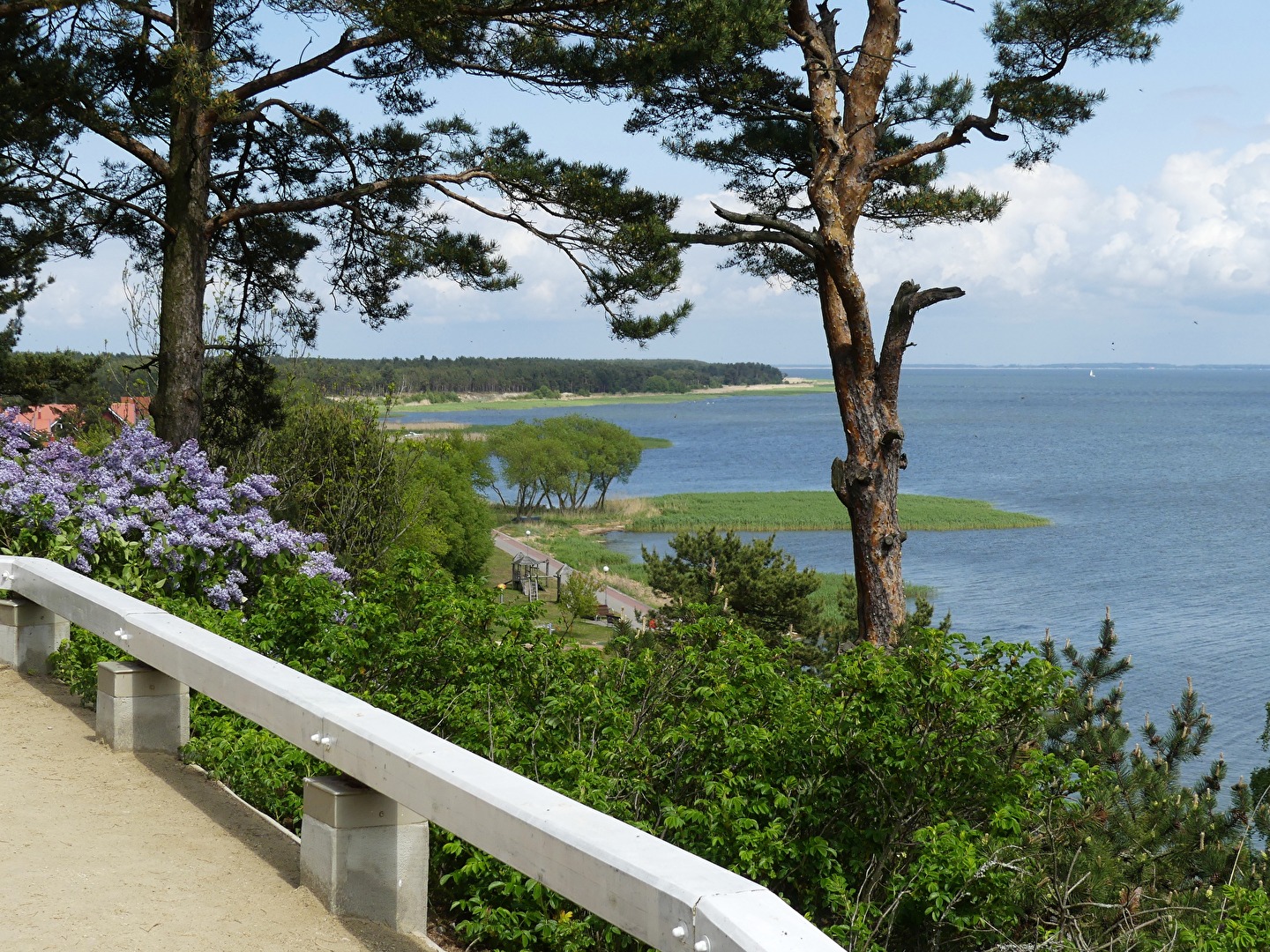 Kurische Nehrung I