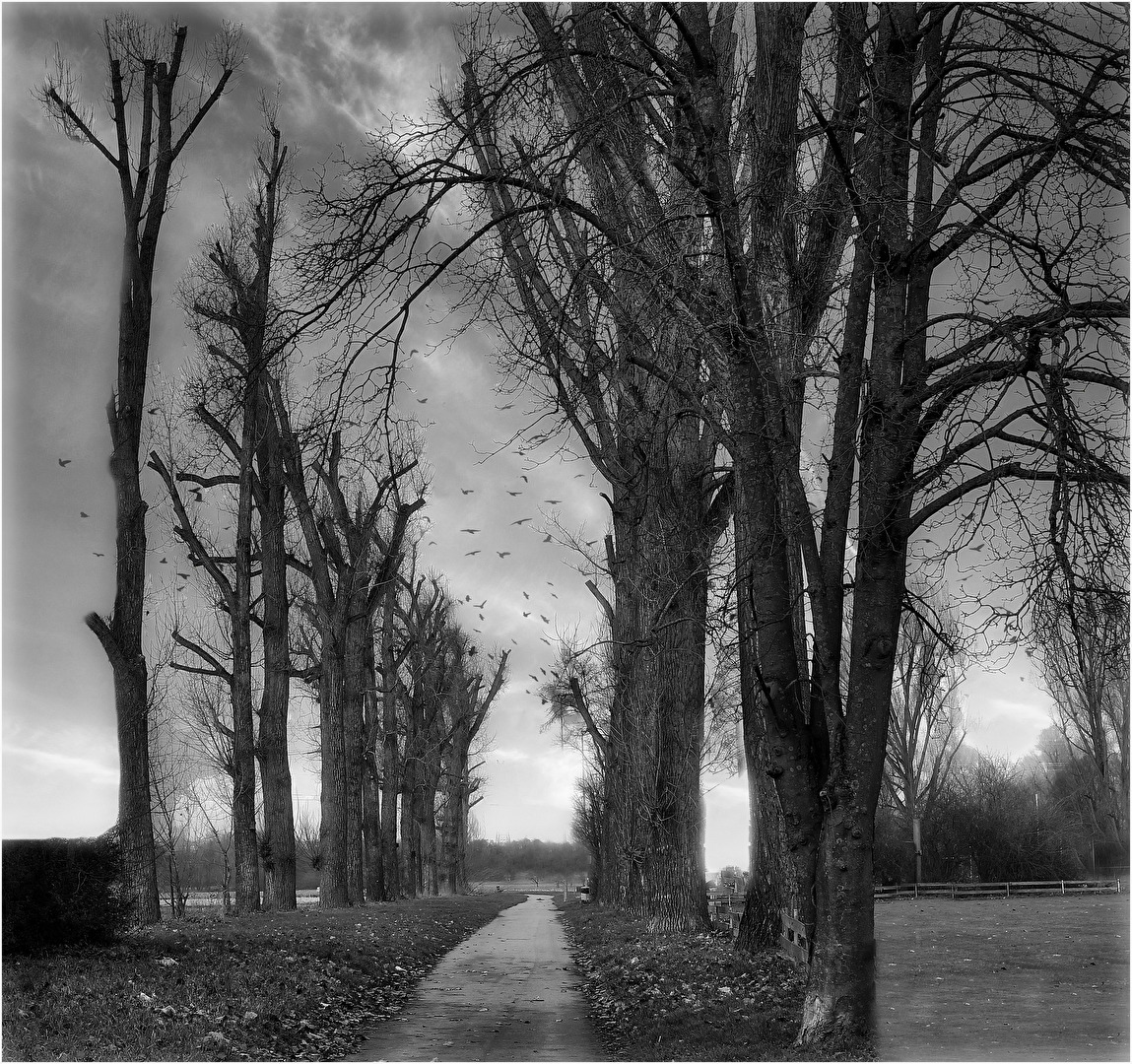 Des Winters karges Kleid