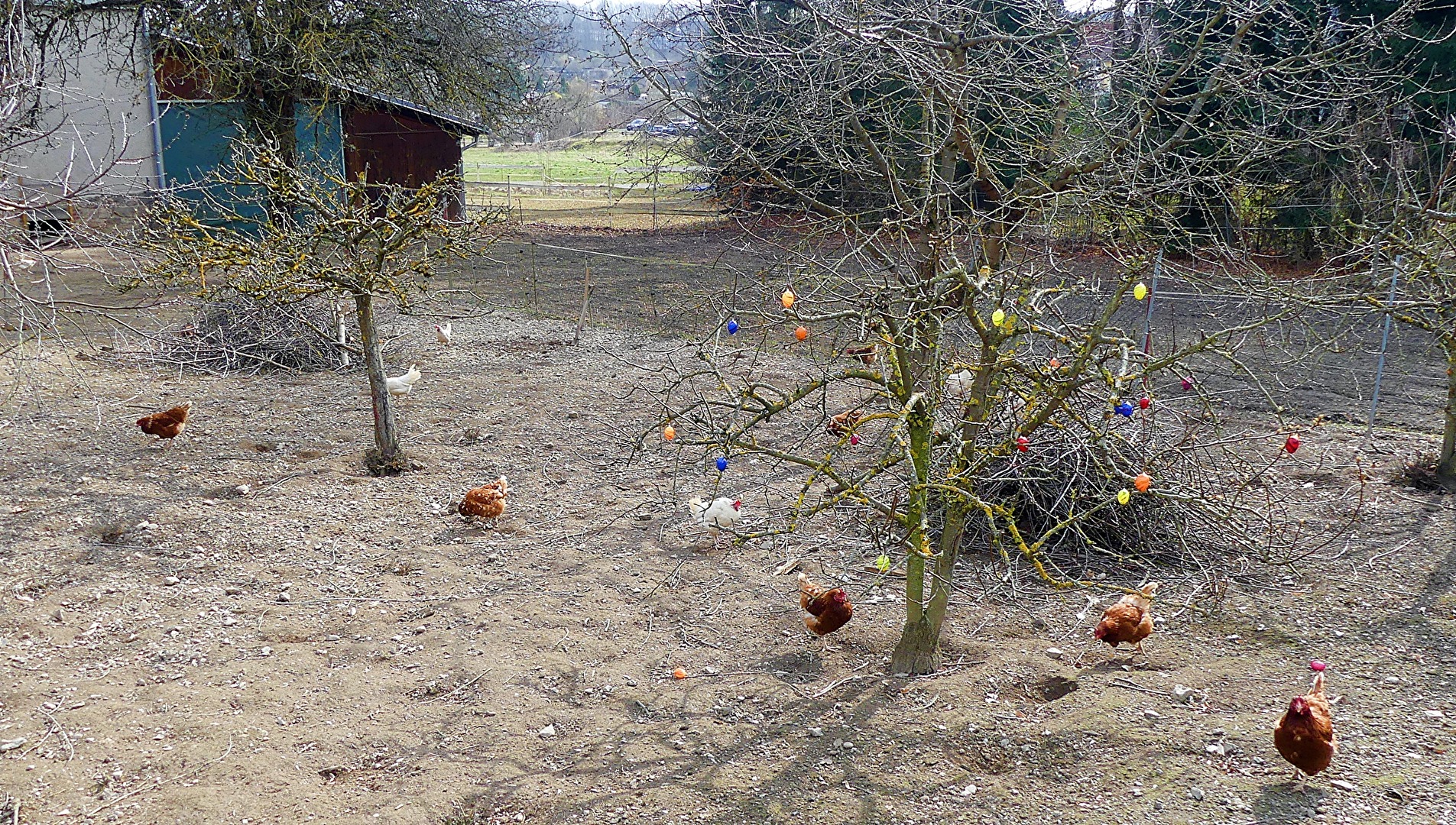Osterschmuck auf dem Bauernhof
