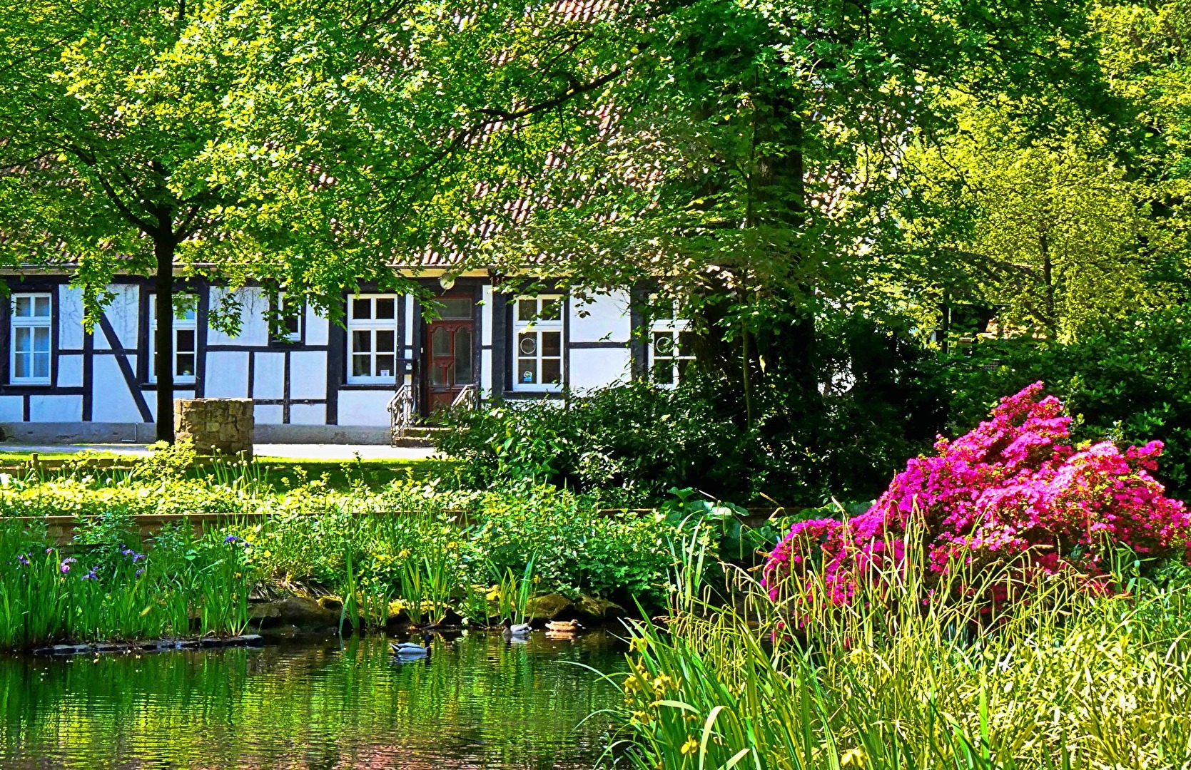 im Stadtpark