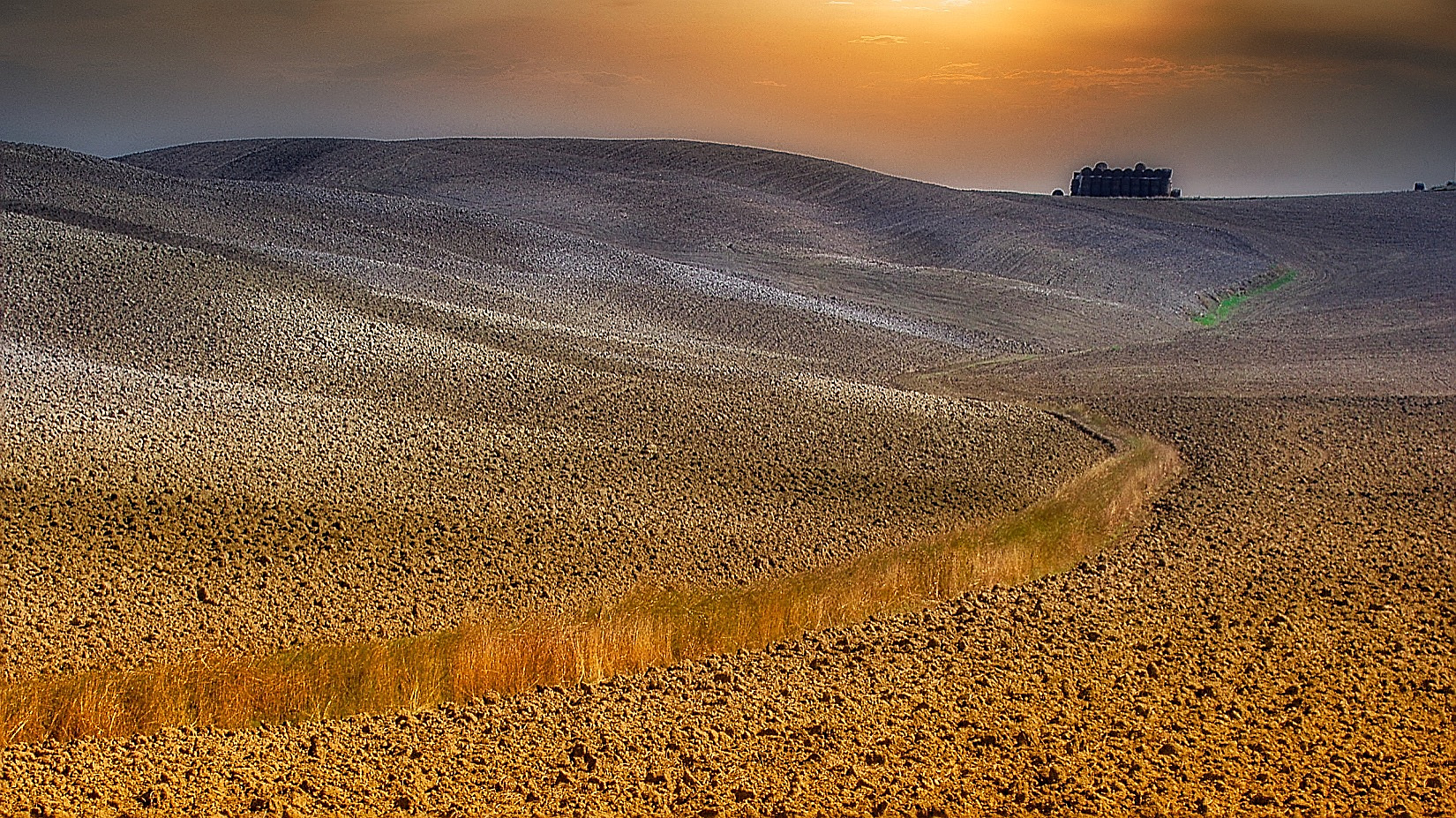 Felder der Toscana