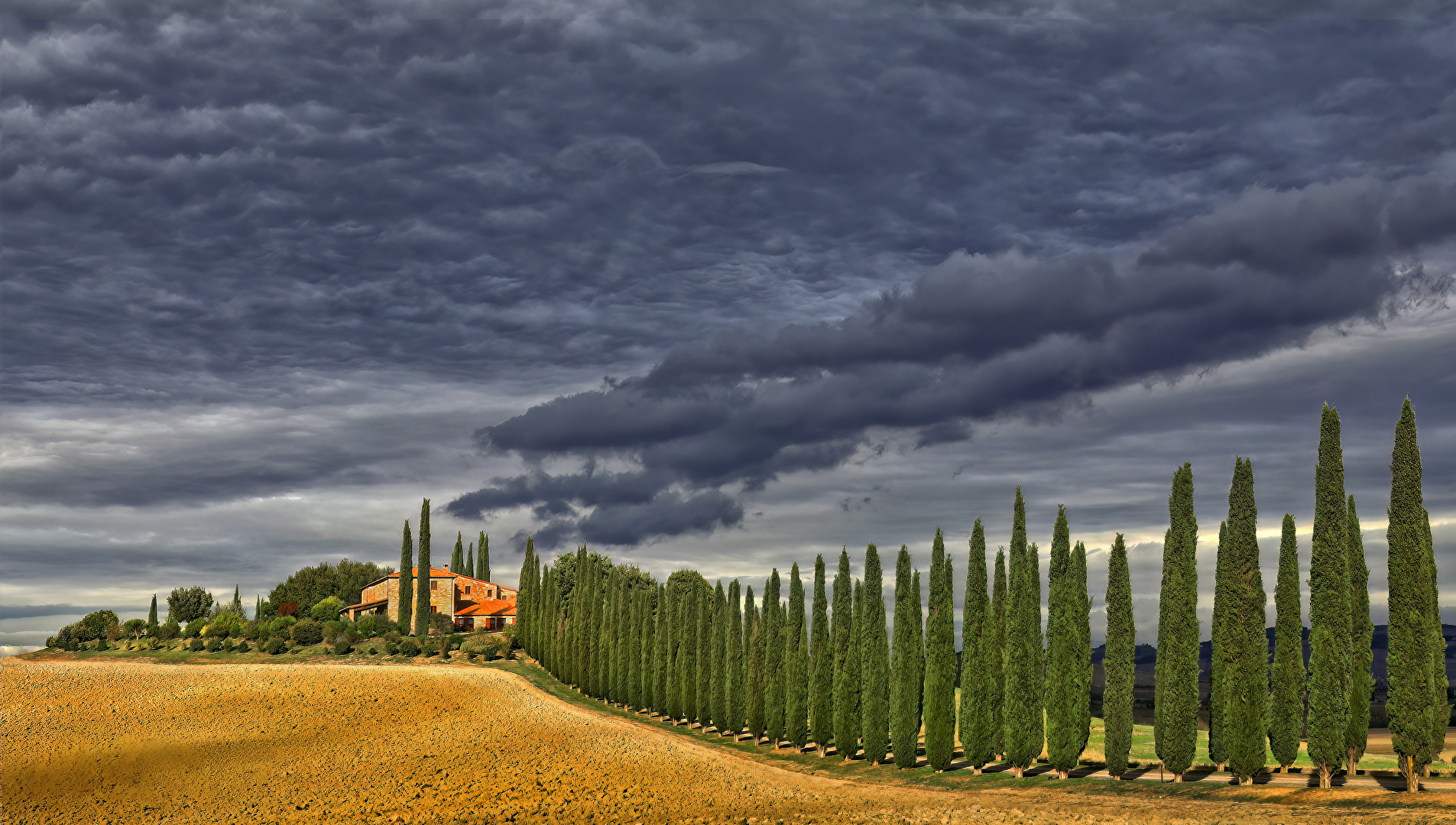 Finca
