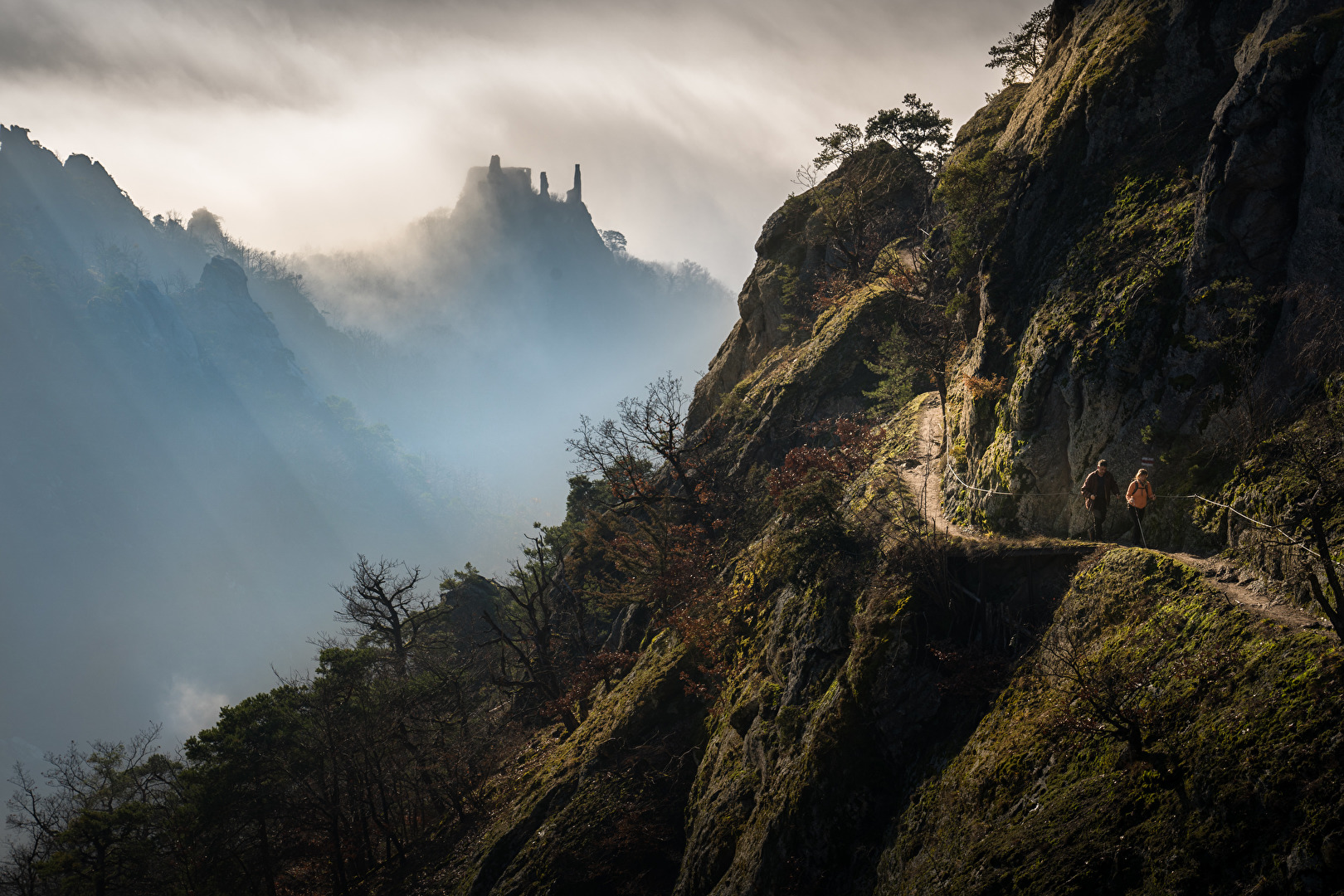 Vogelbergsteig mit Blick auf Ruine Dürnstein, Wachau