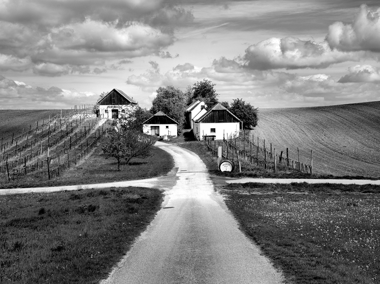 Die Hundsbergkellergasse in Hart-Aschendorf bei Hollabrunn