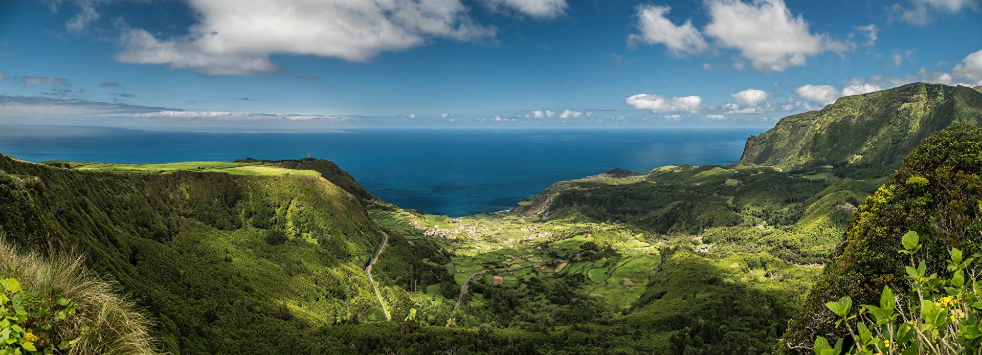 Es grünt so grün - auf Flores