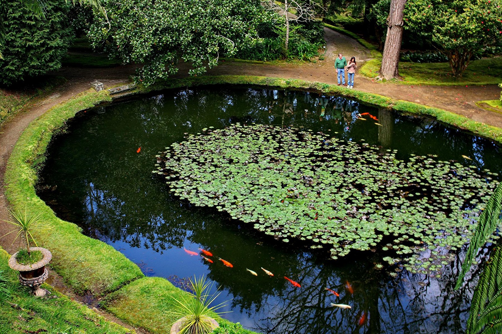 #Park auf den Azoren 3