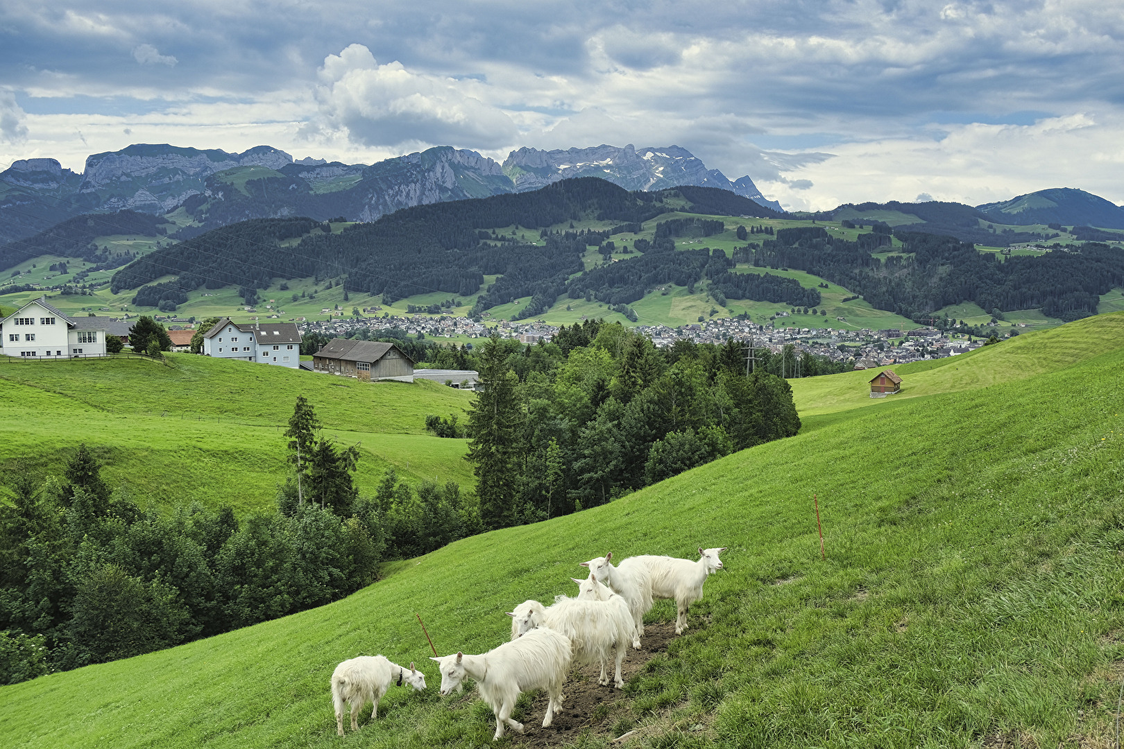 Schweiz 2