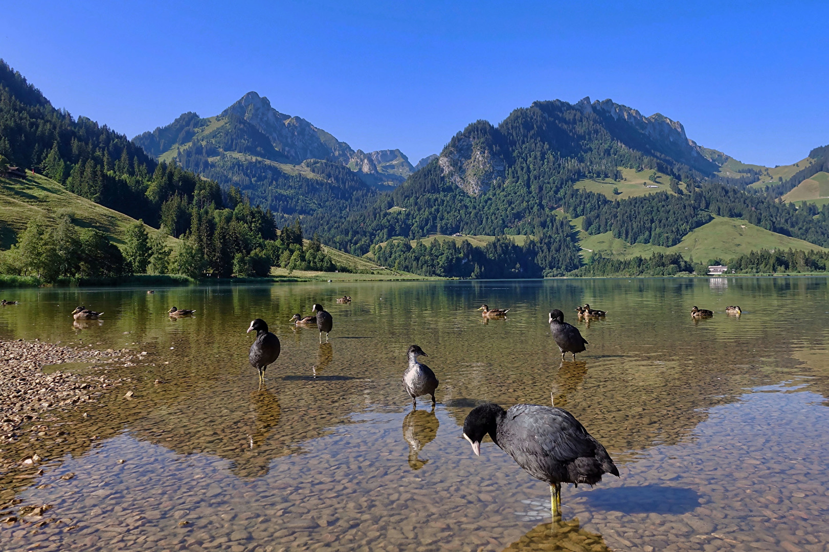 Schwarzsee