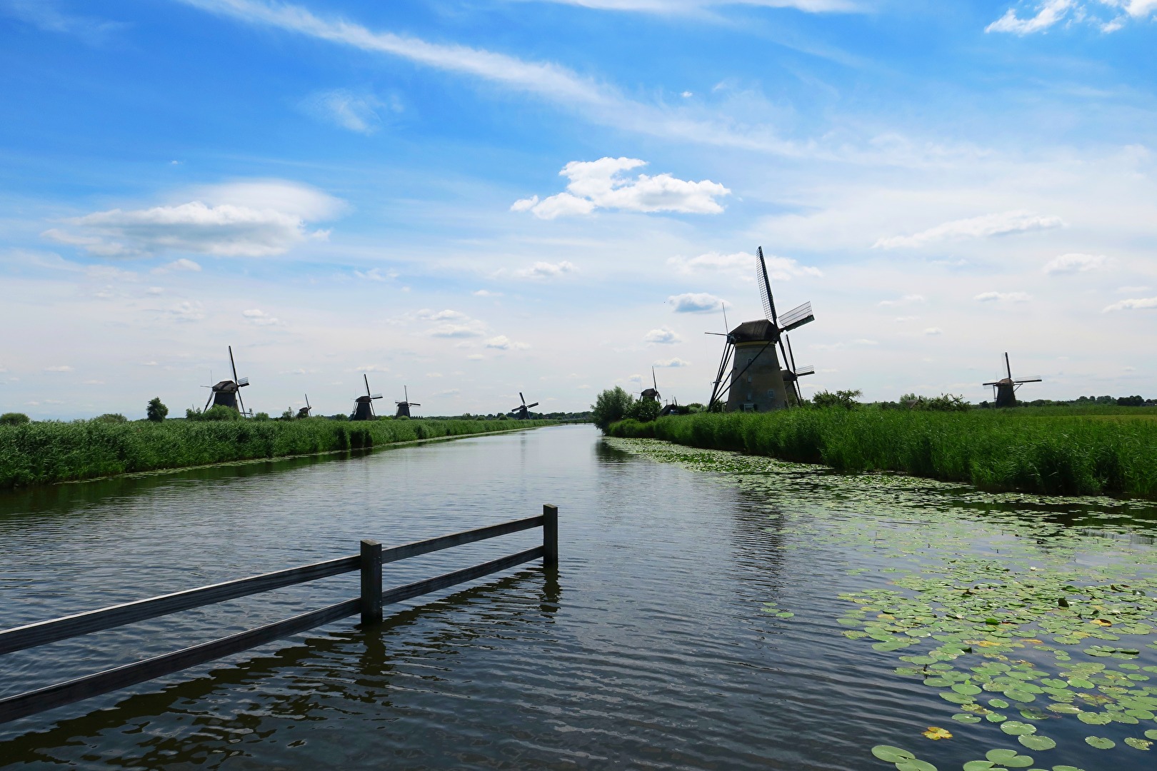 Kinderdijk Moldenwaard  / Holland