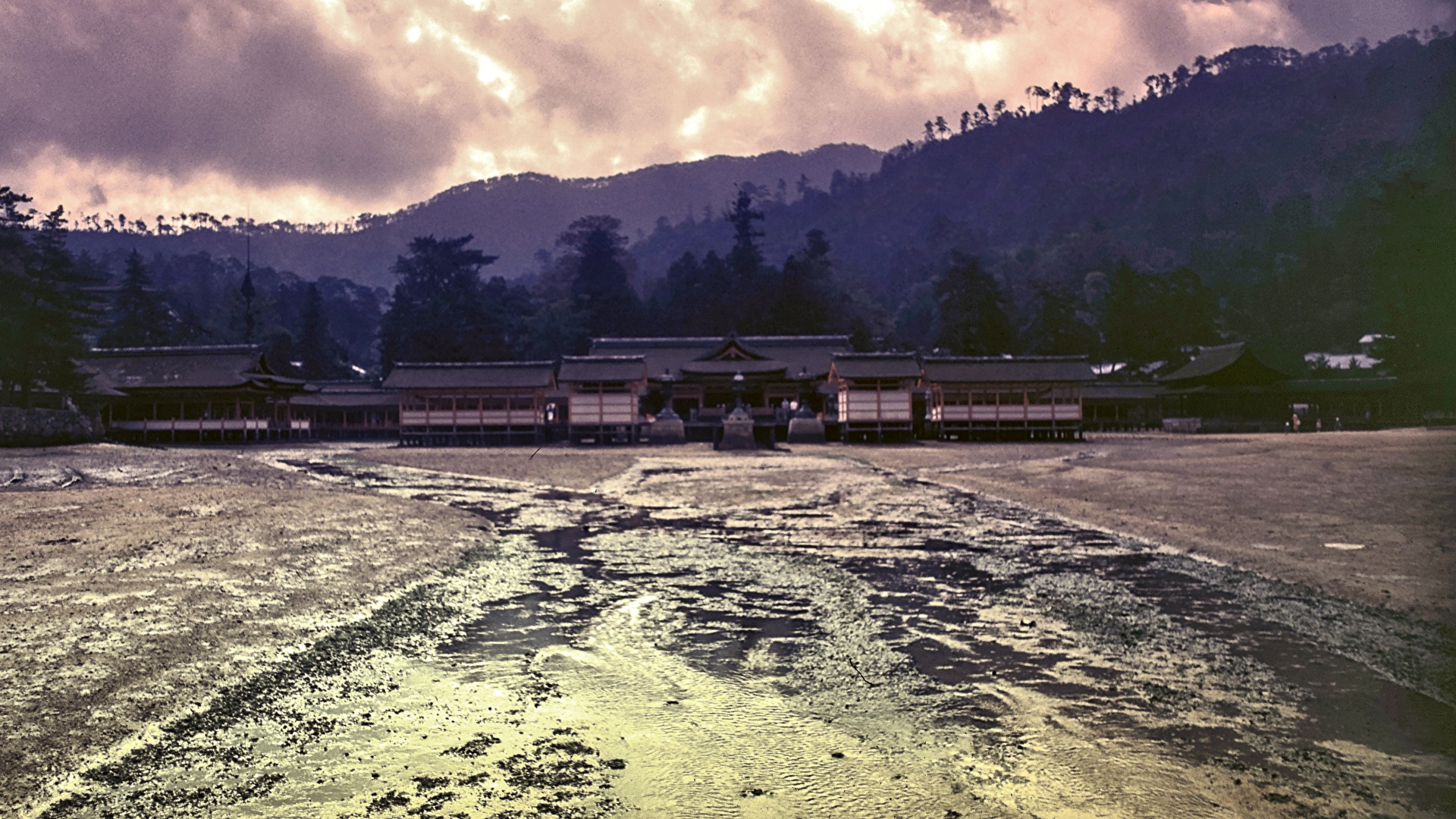 ...die meisten fotografieren in die andere Richtung....