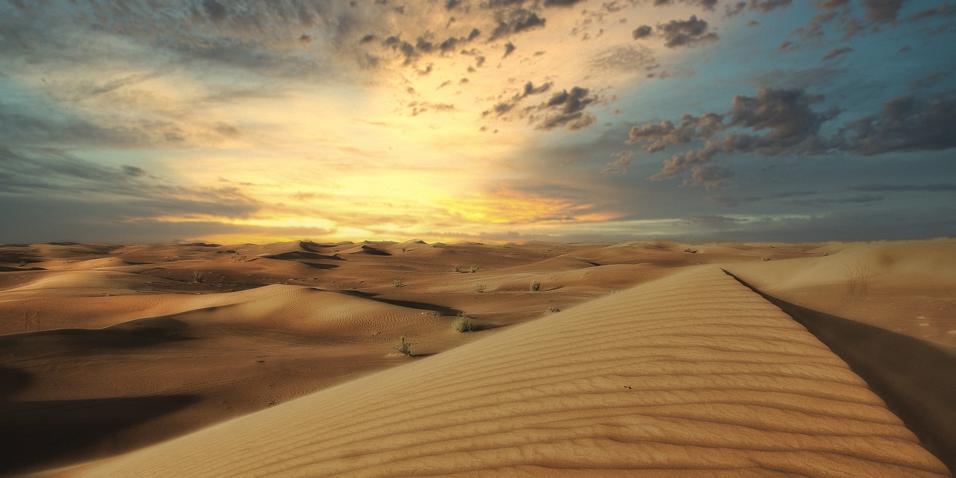 Wüste Arabische Emirate