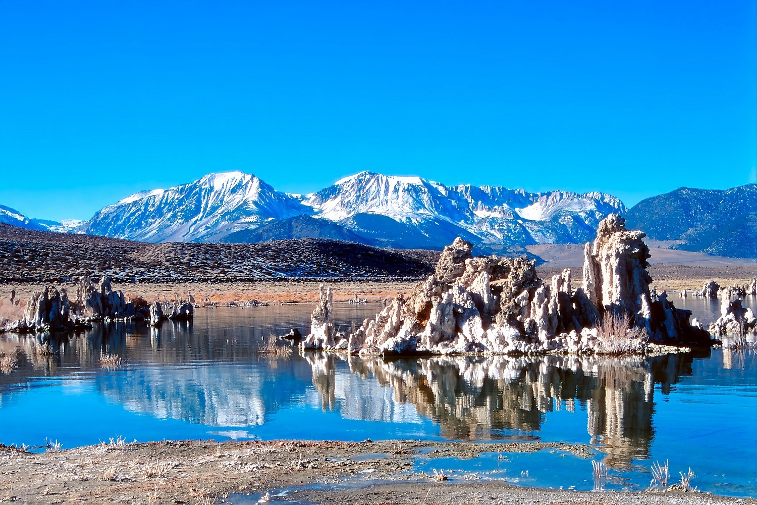 ... im Mono Lake in Californien ...