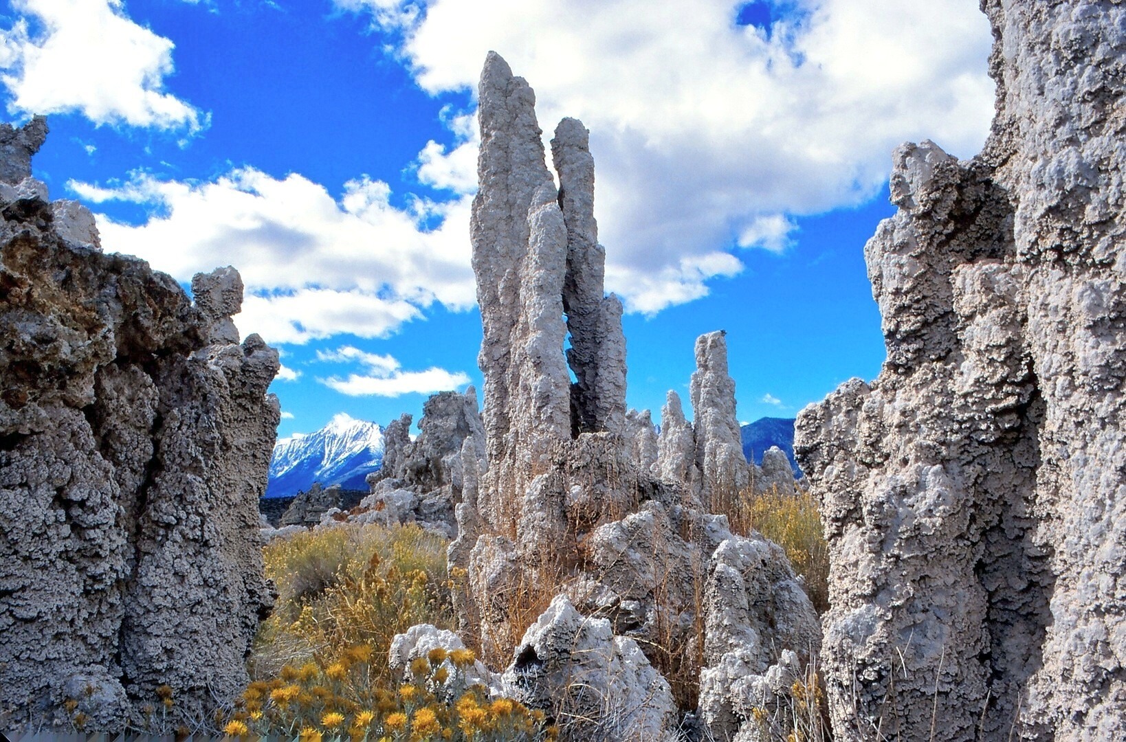 ... im Mono-Lake in California ...