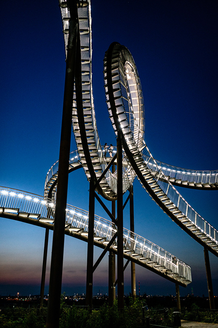 Meet me at Tiger & Turtle