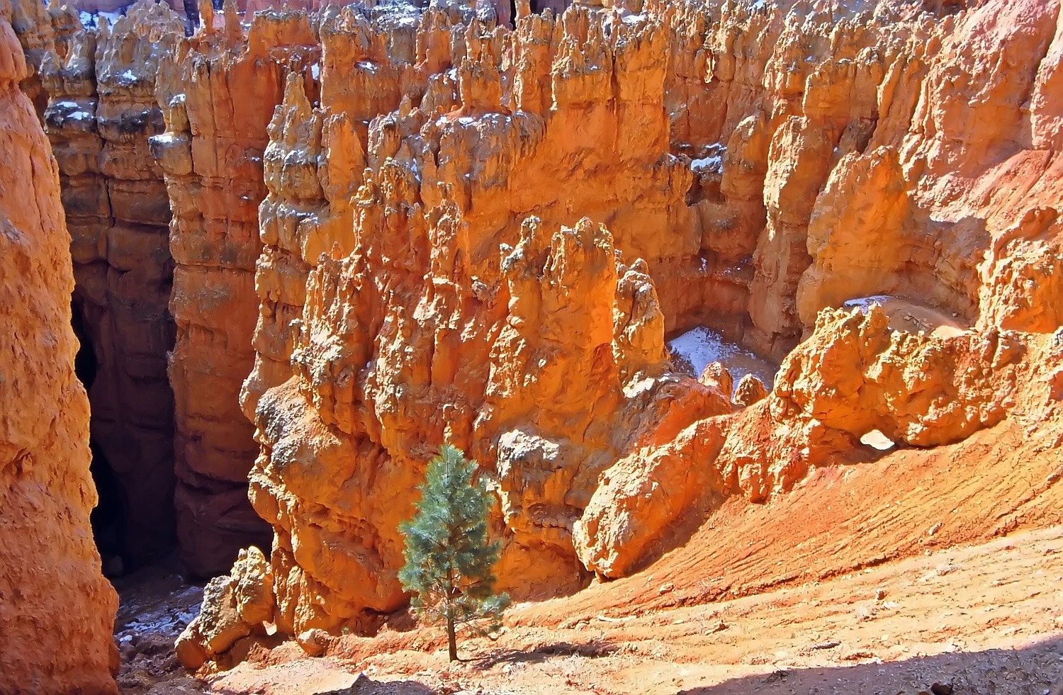 ... im Bryce Canyon - Utah ...