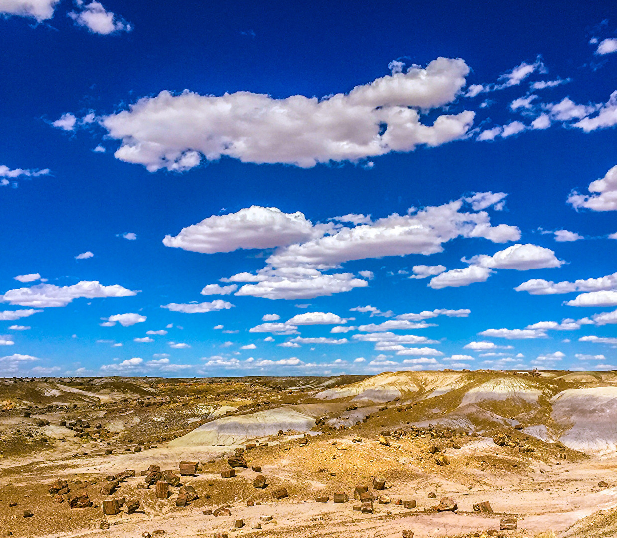 Petrified Forest Nationalpark 2018