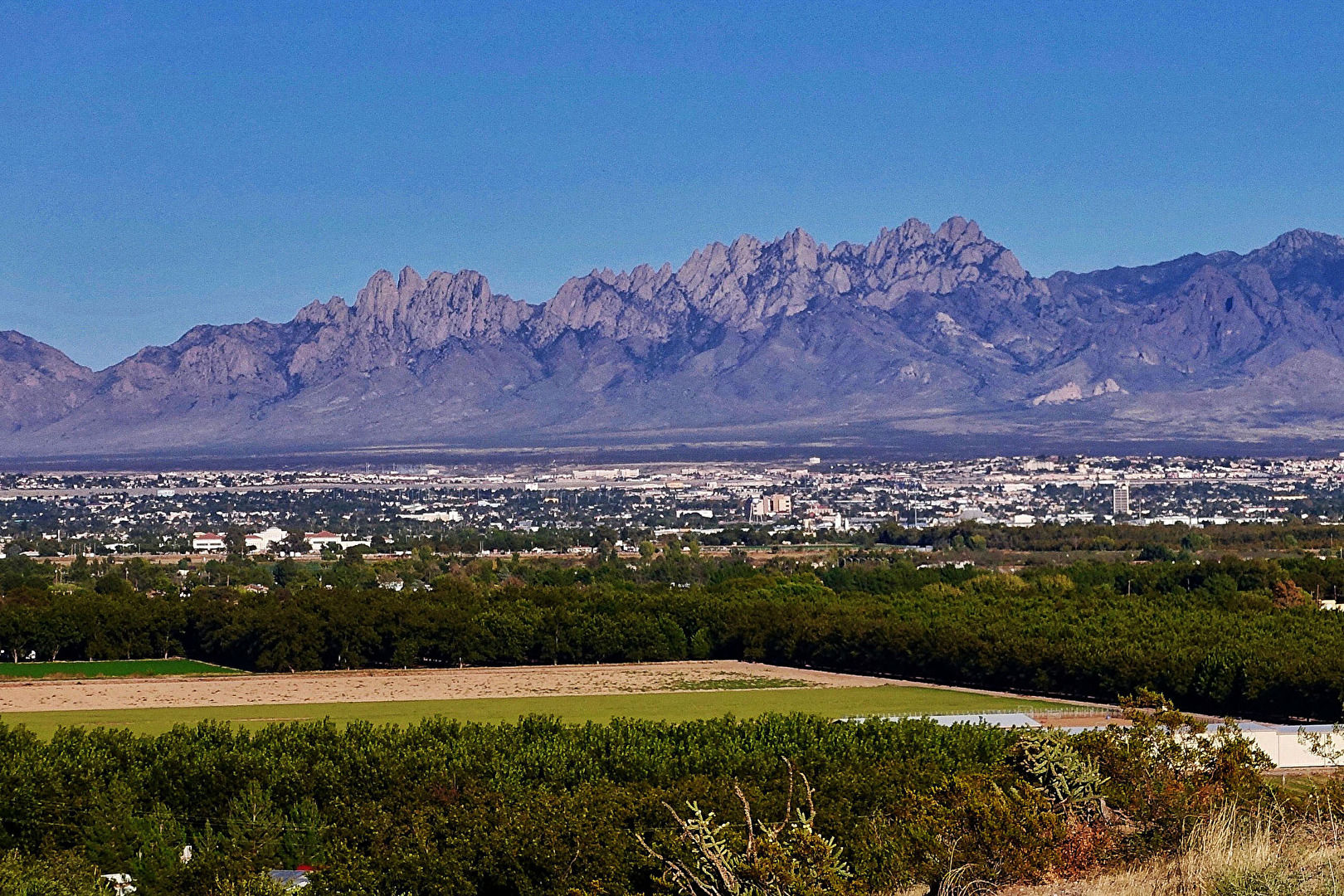 Las Cruces, USA