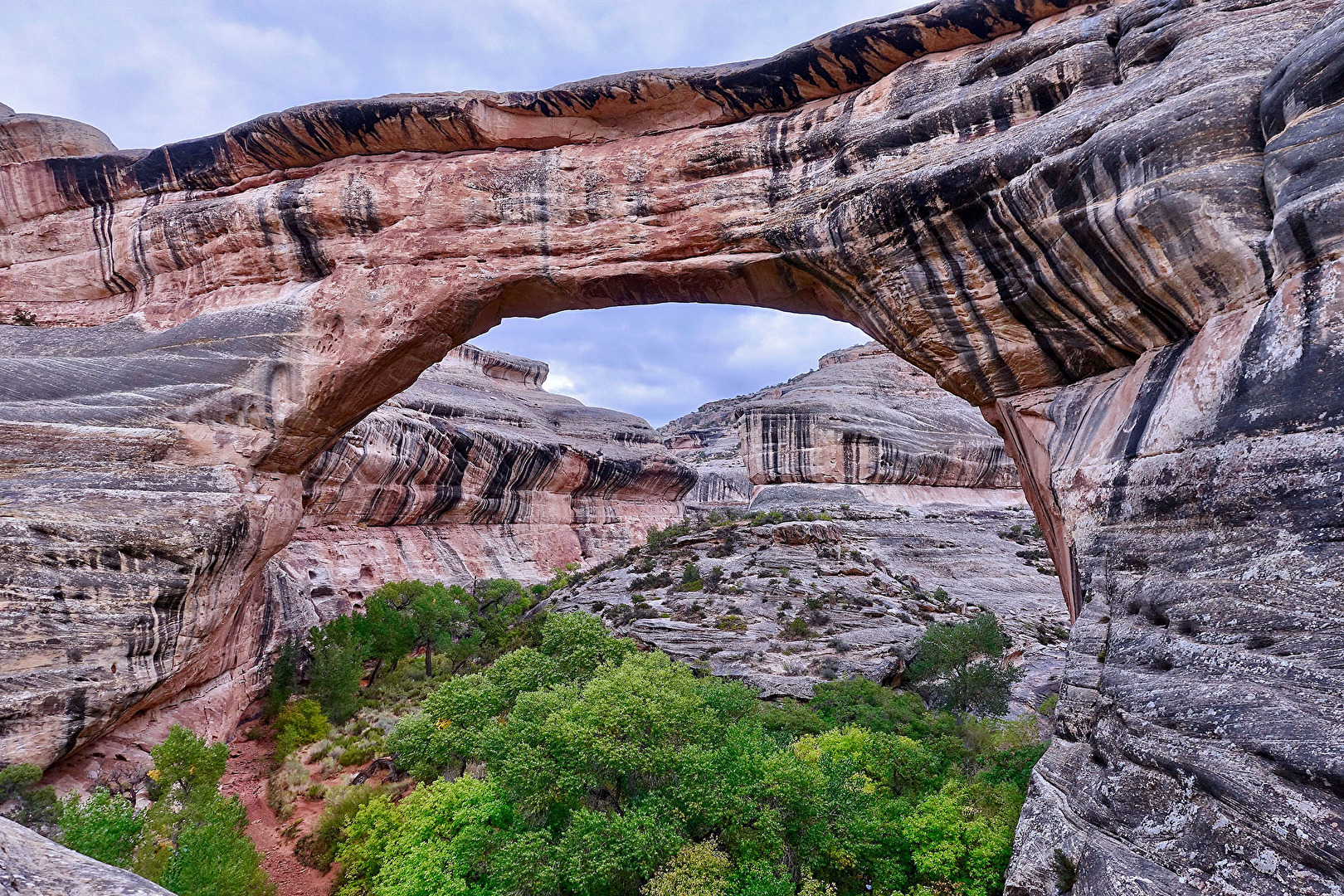 Natural Bridges NM, USA