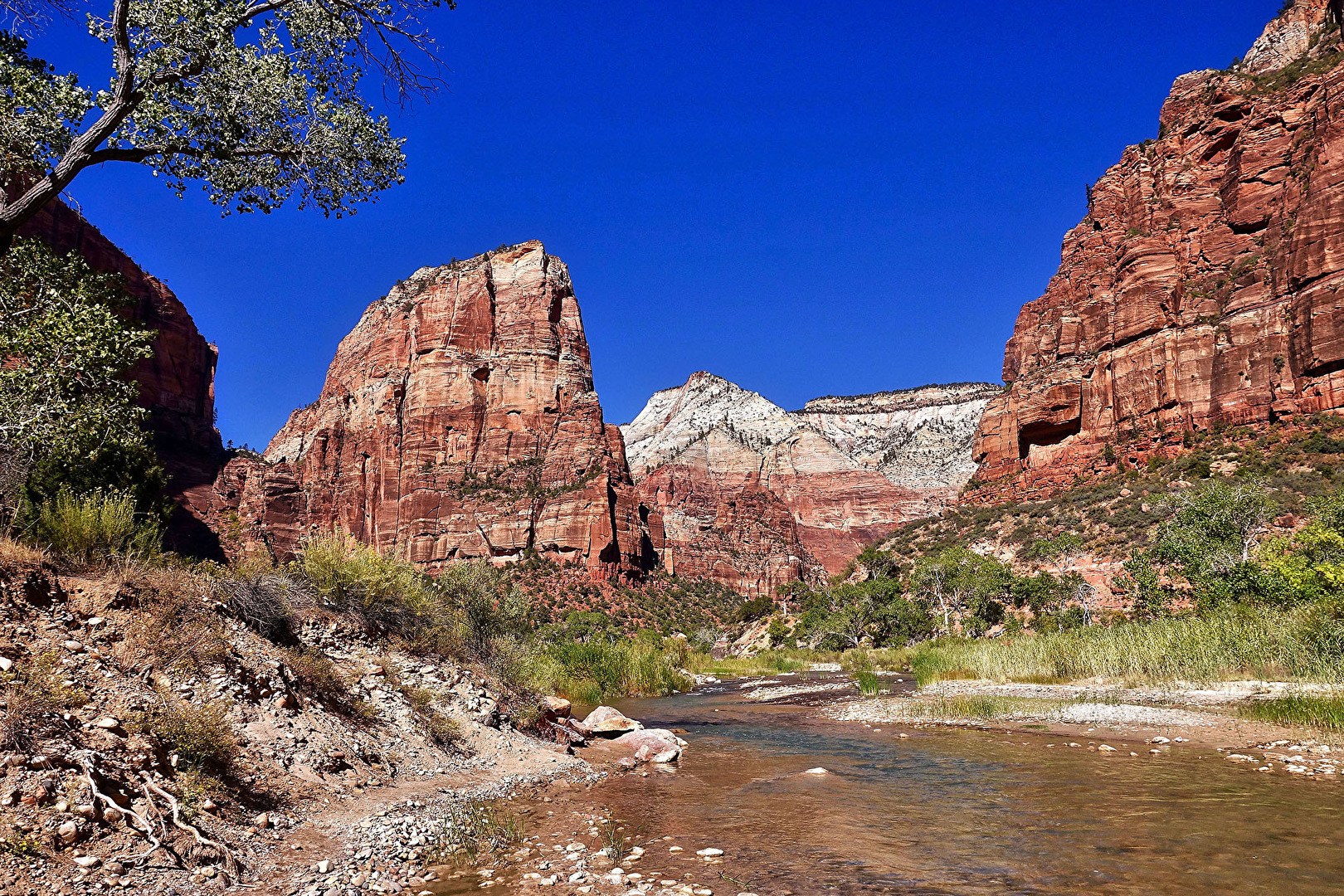 Zion National Park, USA