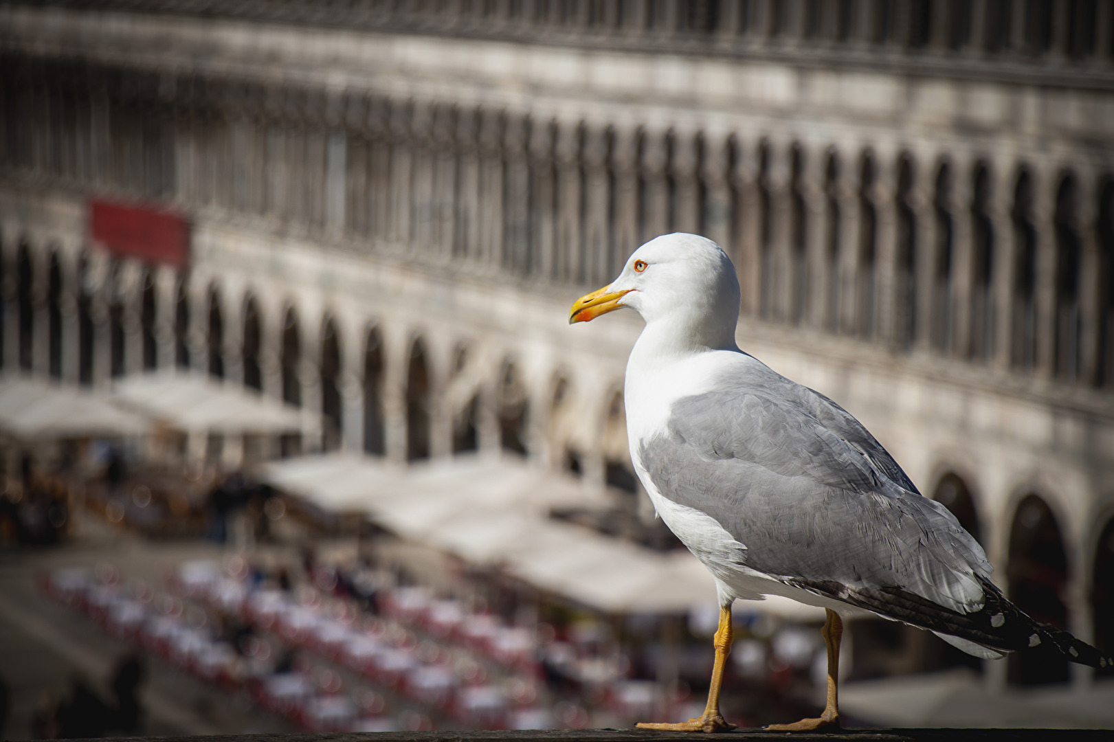 Blick auf die Touristen