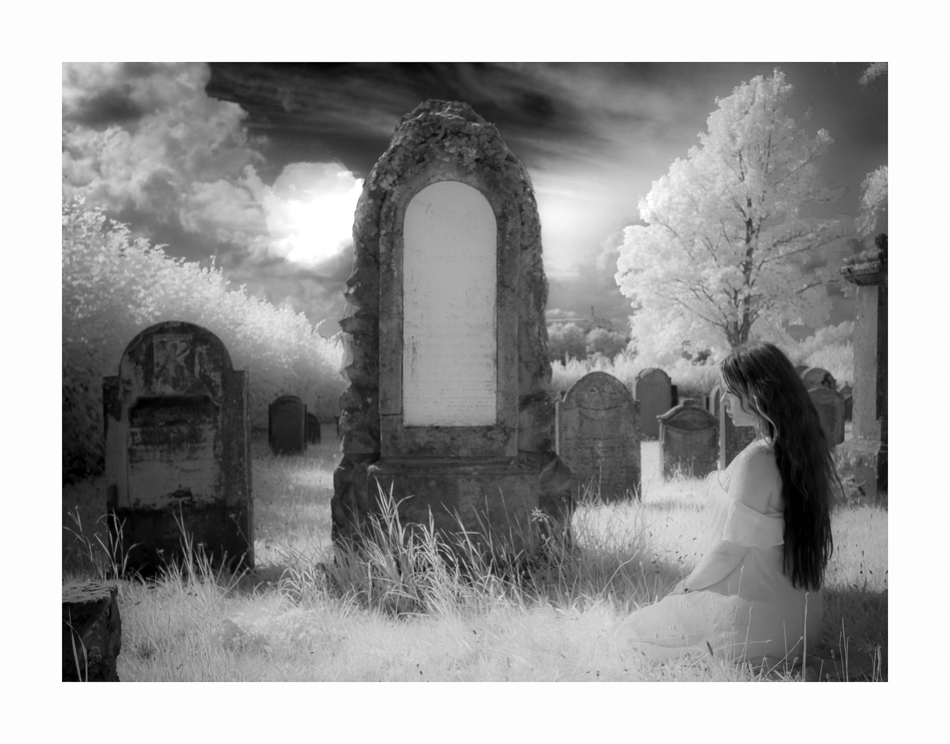 Stephanie - IR