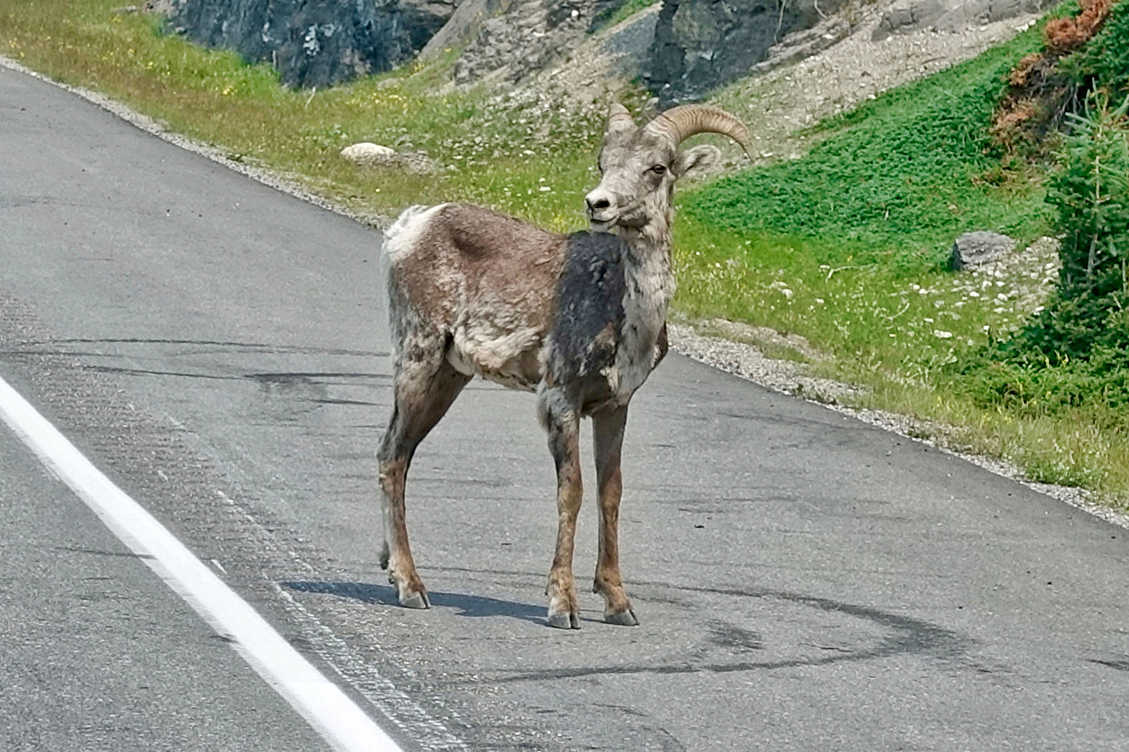 Jasper, Kanada